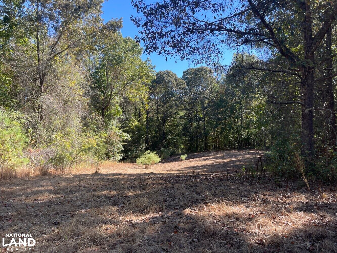 0 County Road 97, Detroit, AL 35552 LandWatch