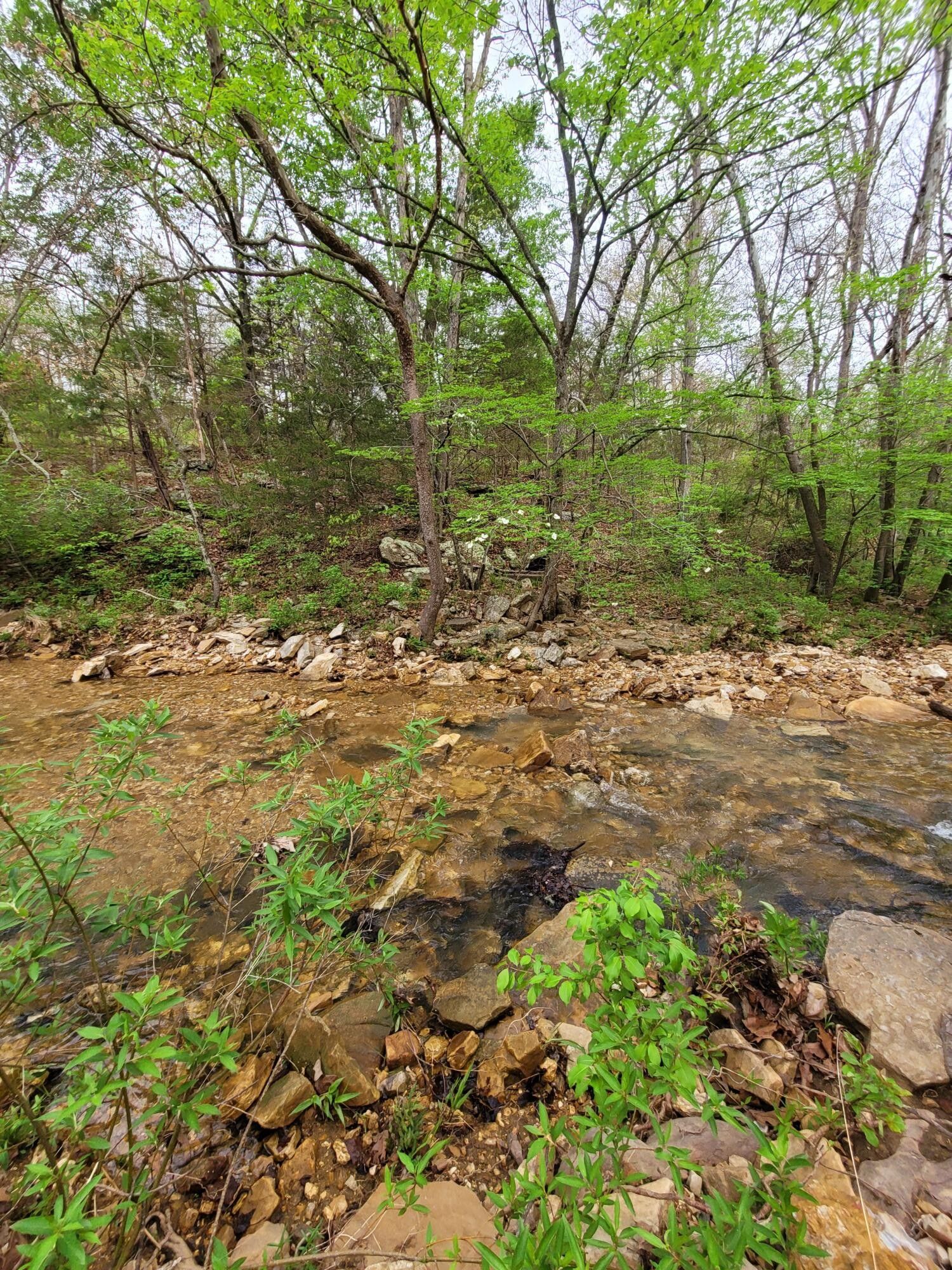 Plato, Texas County, MO Undeveloped Land for sale Property ID