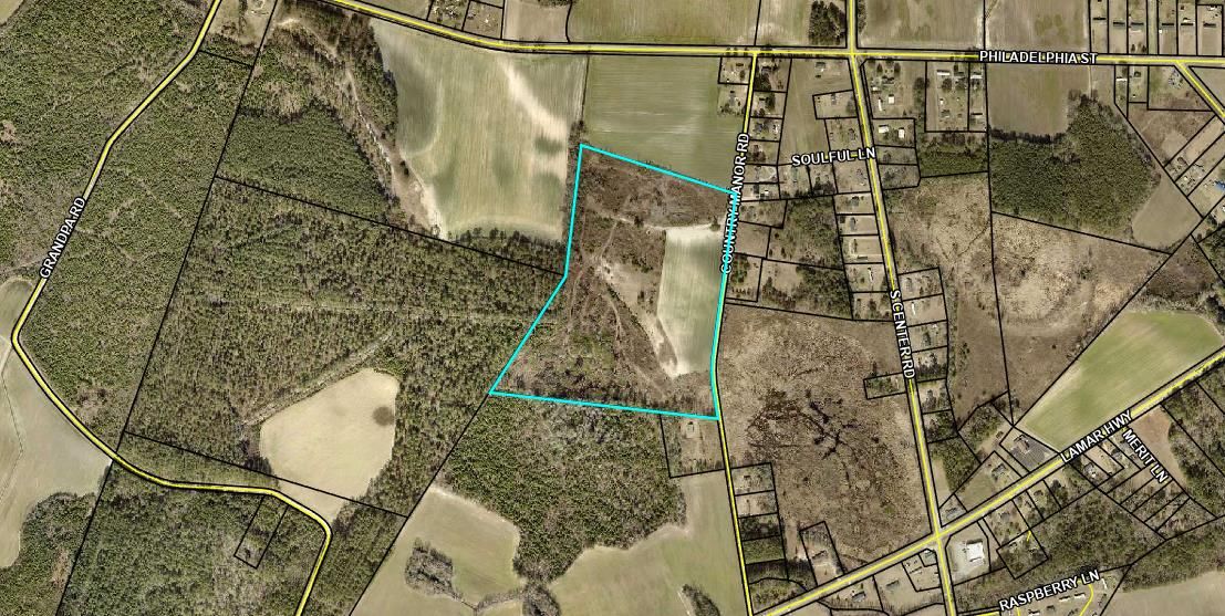 Lamar, Darlington County, SC Farms and Ranches, Undeveloped Land