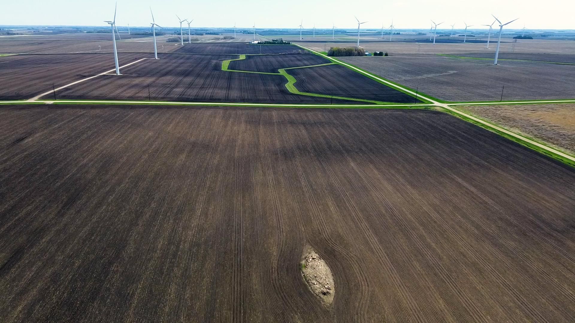 Dexter, Mower County, MN Farms and Ranches for auction Property ID