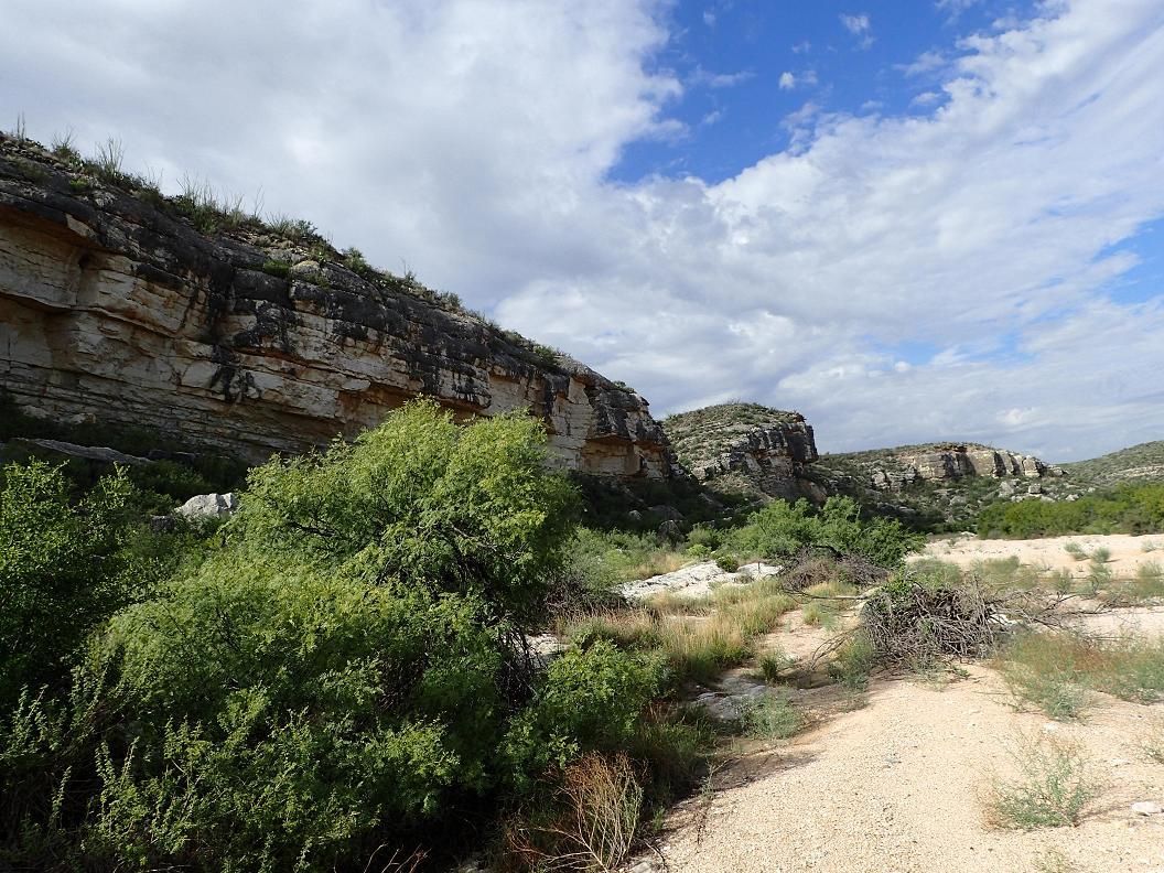 310 acres in Sanderson, TX, 79848 LandWatch