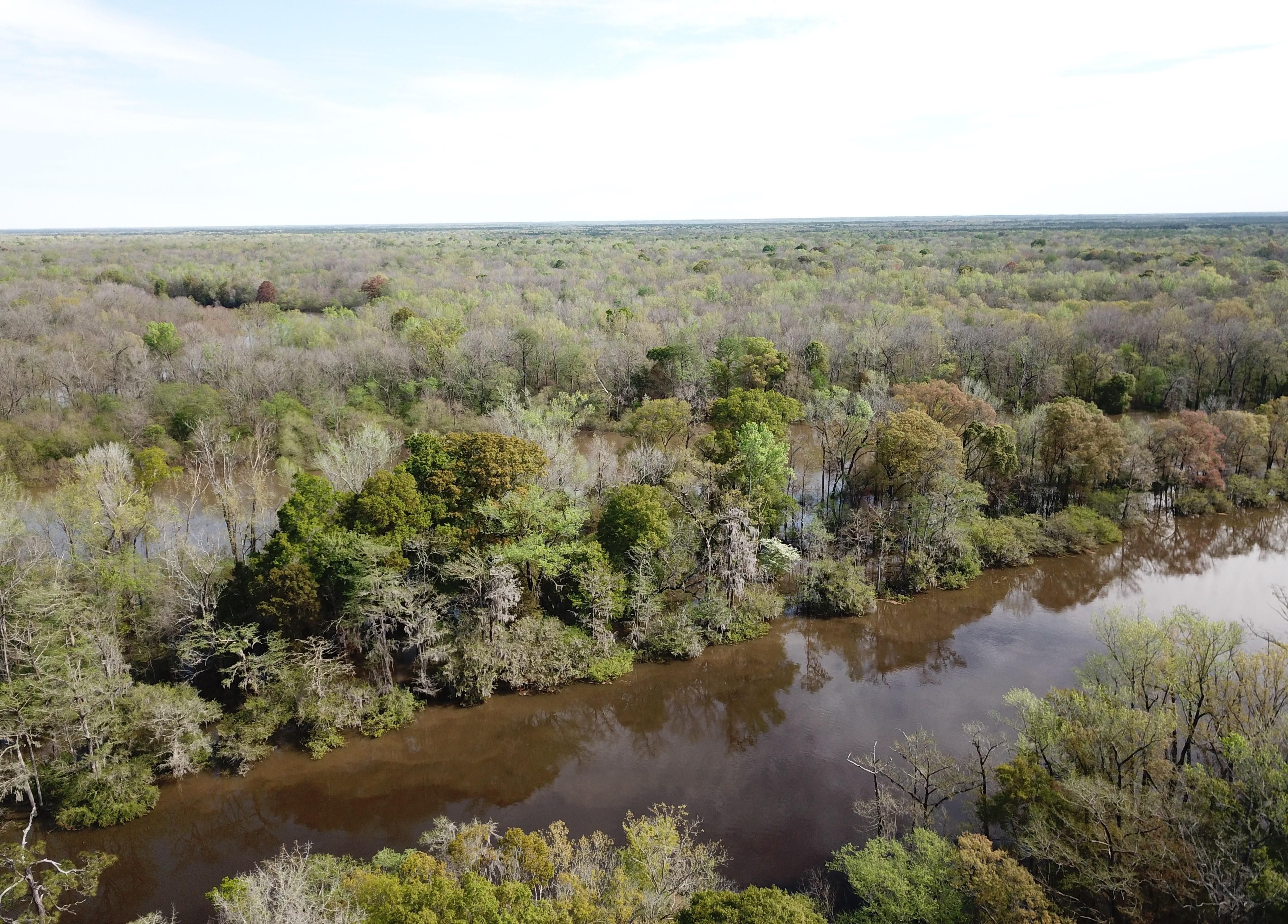 246 acres in Hemingway, SC, 29554 MLS Sawkee Bluff LandWatch