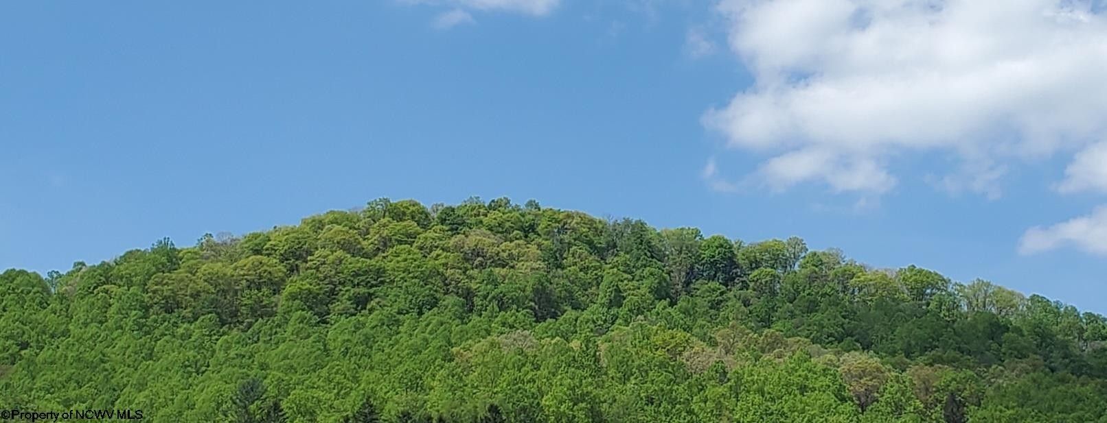 Parsons, Tucker County, WV Undeveloped Land for sale Property ID 419613891 LandWatch