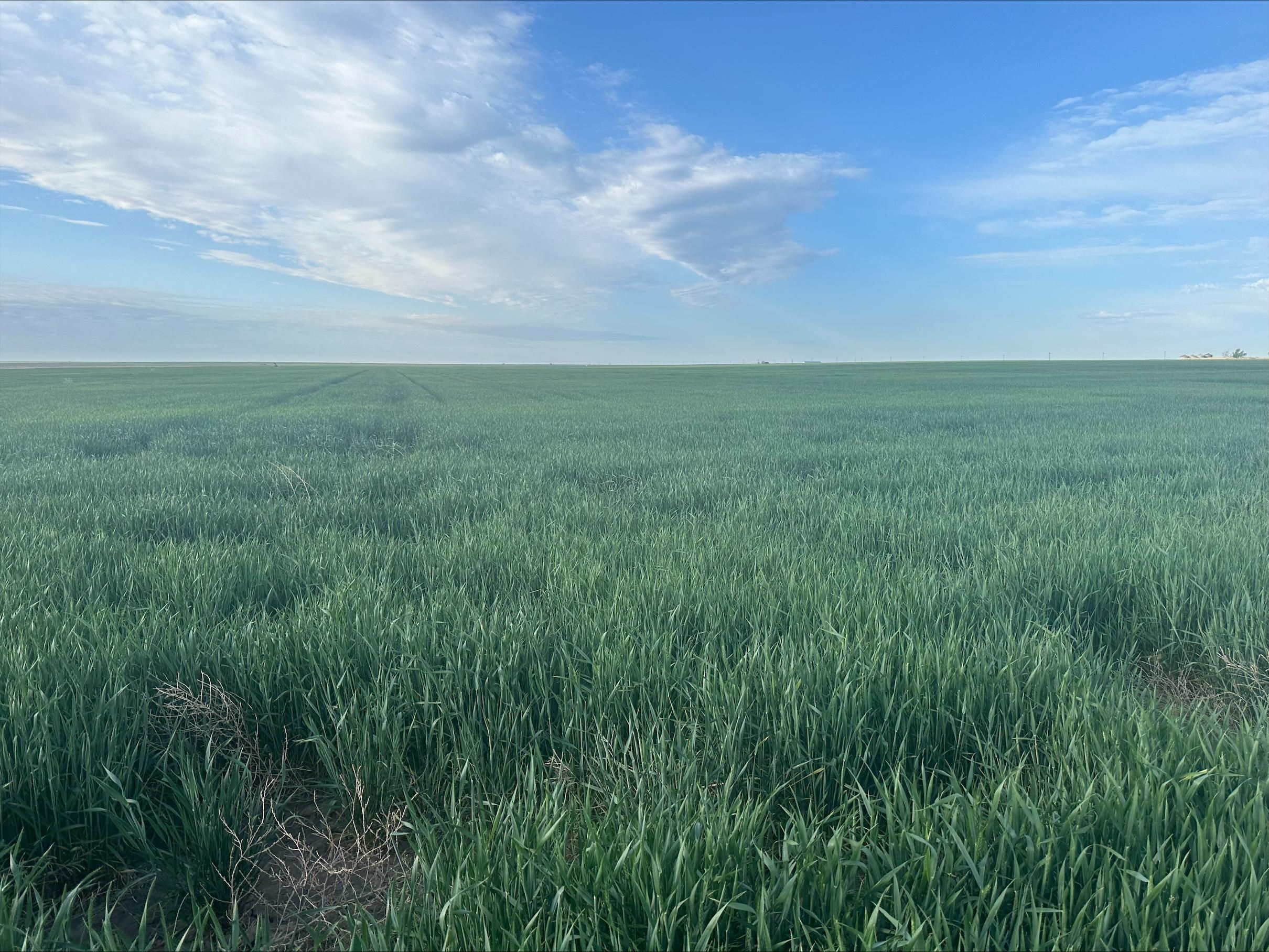 160 acres in Lakin, KS, 67860 LandWatch