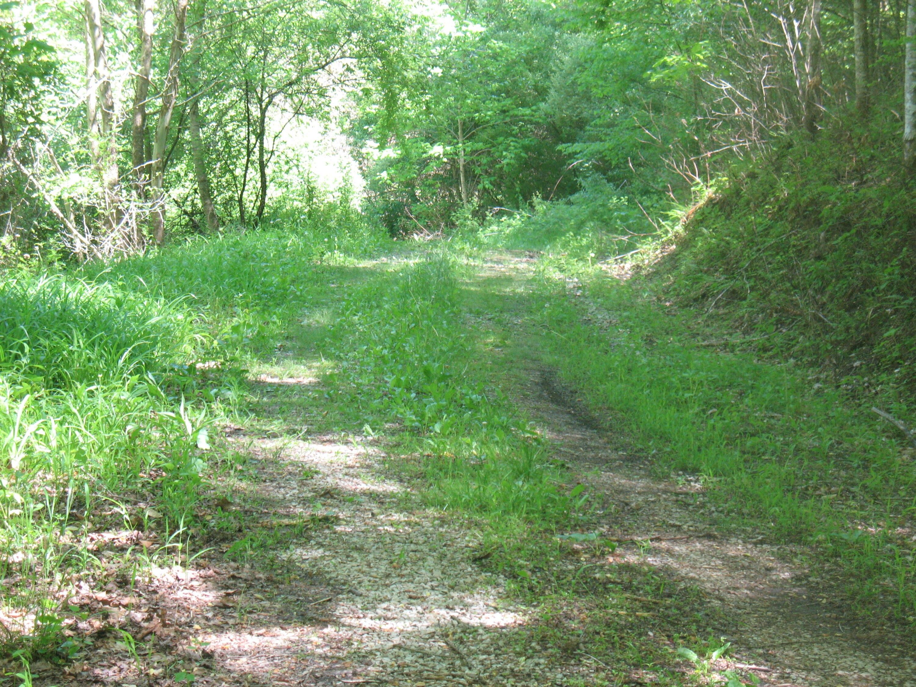 Viper, Perry County, KY Farms and Ranches for sale Property ID