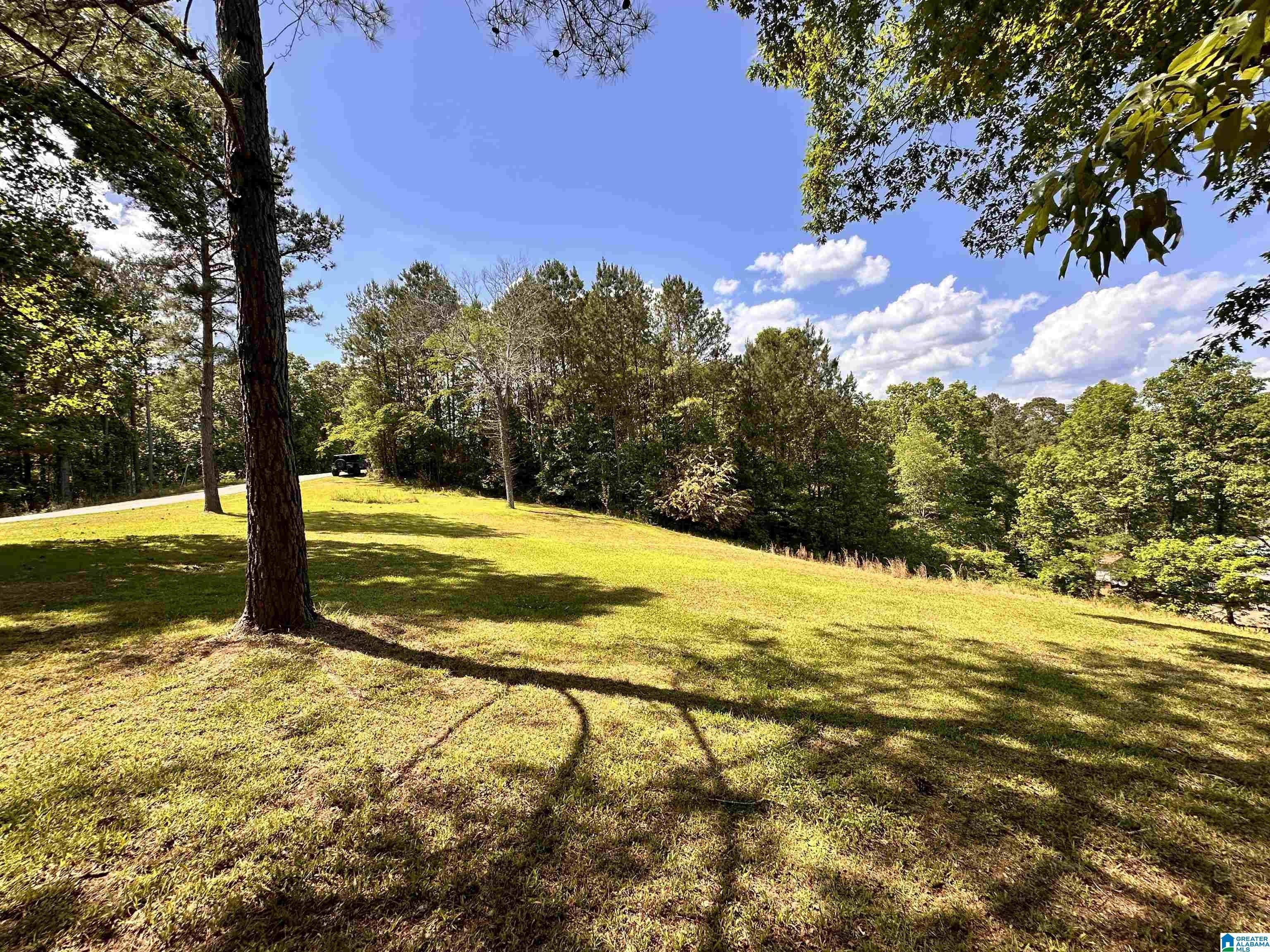 RIDGE DRIVE, Shelby, AL 35143 MLS 21384465 LandWatch