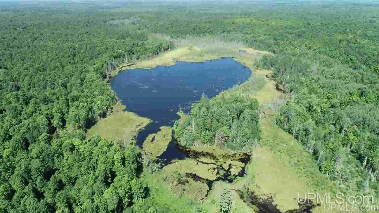 Florence, Florence County, WI Undeveloped Land, Lakefront Property, Waterfront Property for sale