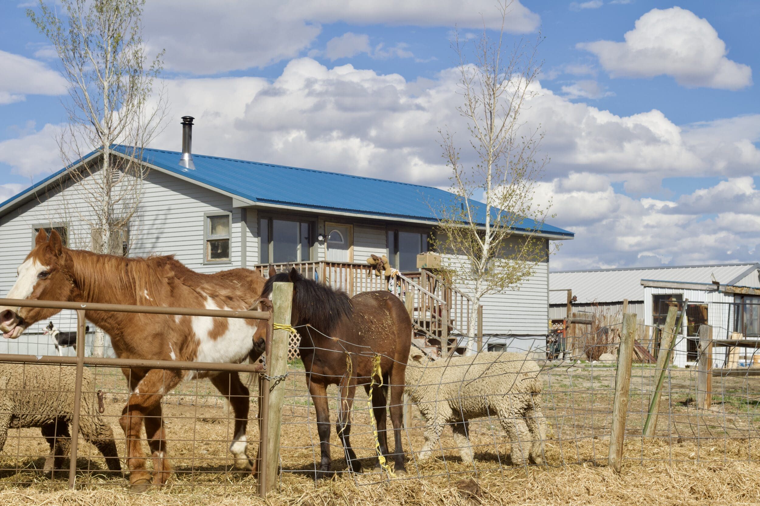 Riverton, Fremont County, WY Farms and Ranches, Horse Property
