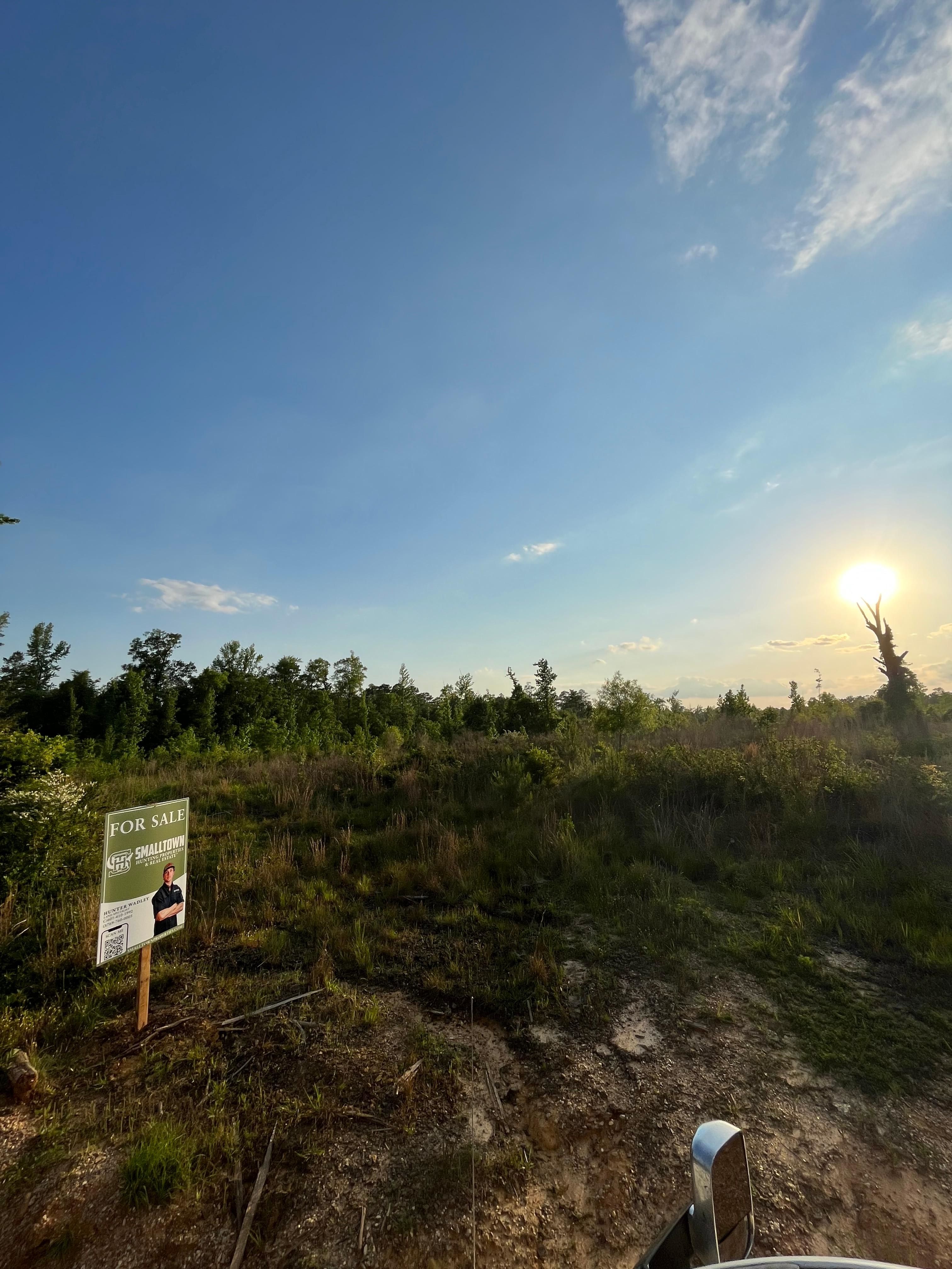 20 acres in Waynesboro, MS, 39367 LandWatch