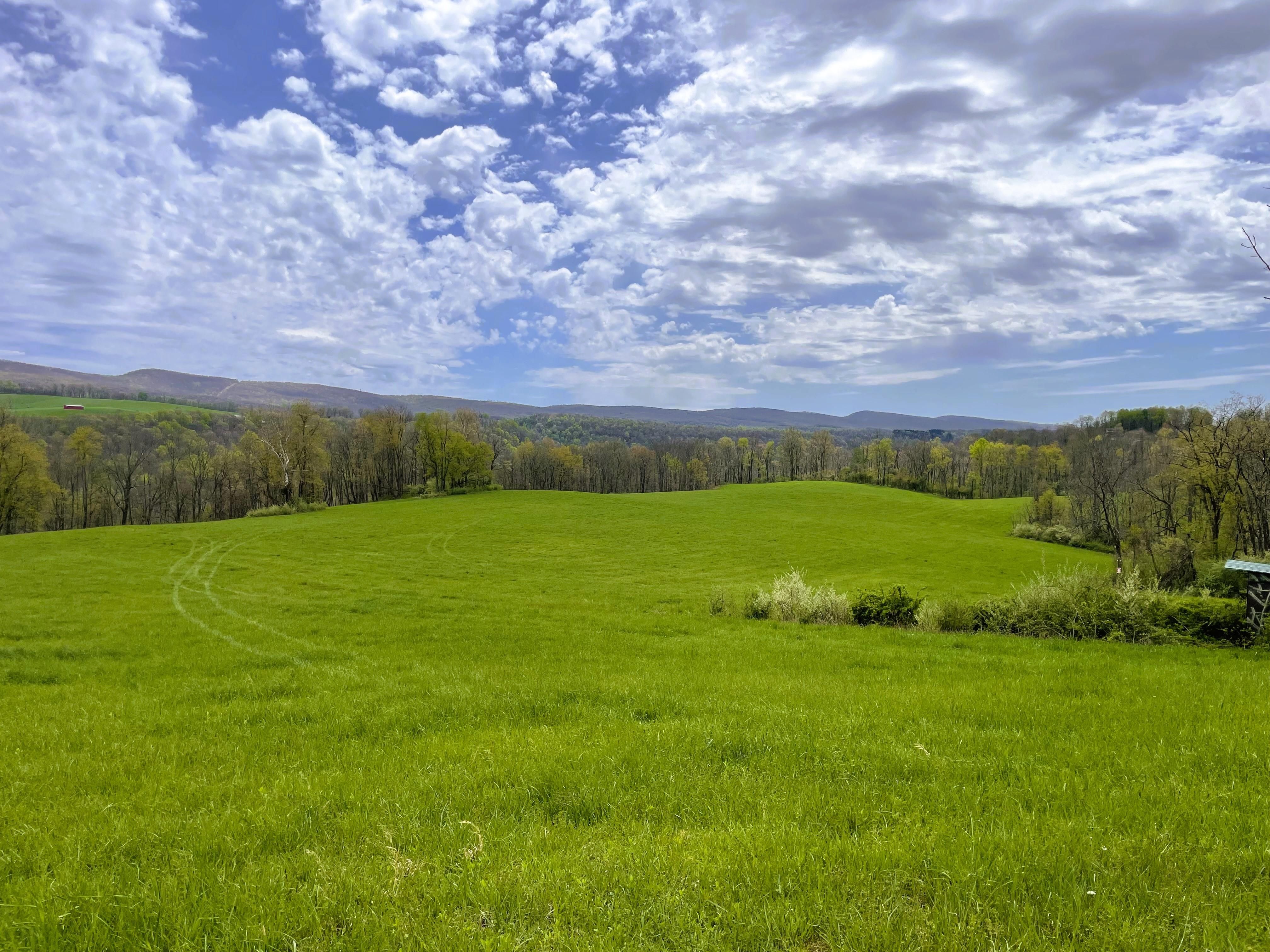 350 acres in Kingwood, WV, 26537 LandWatch