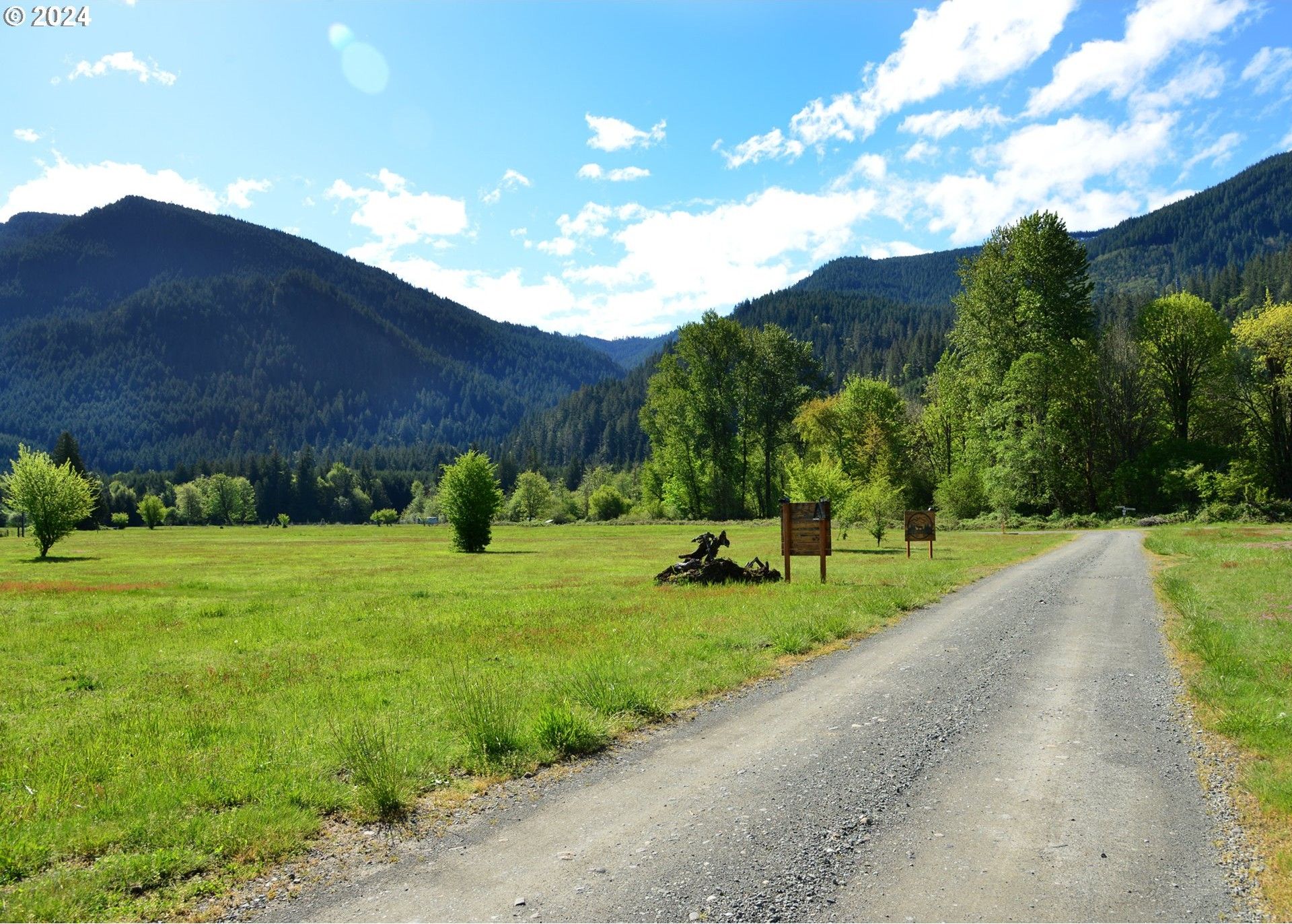 163 Lone Tree, Randle, WA 98377 MLS 24645003 LandWatch