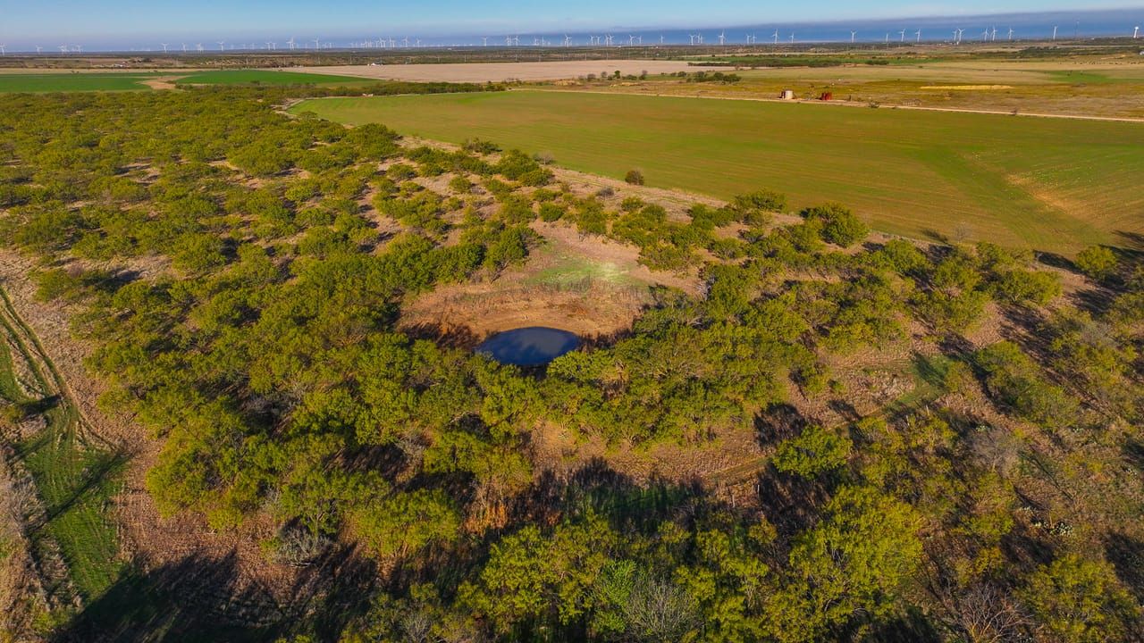 Throckmorton, Throckmorton County, TX Farms and Ranches, Hunting