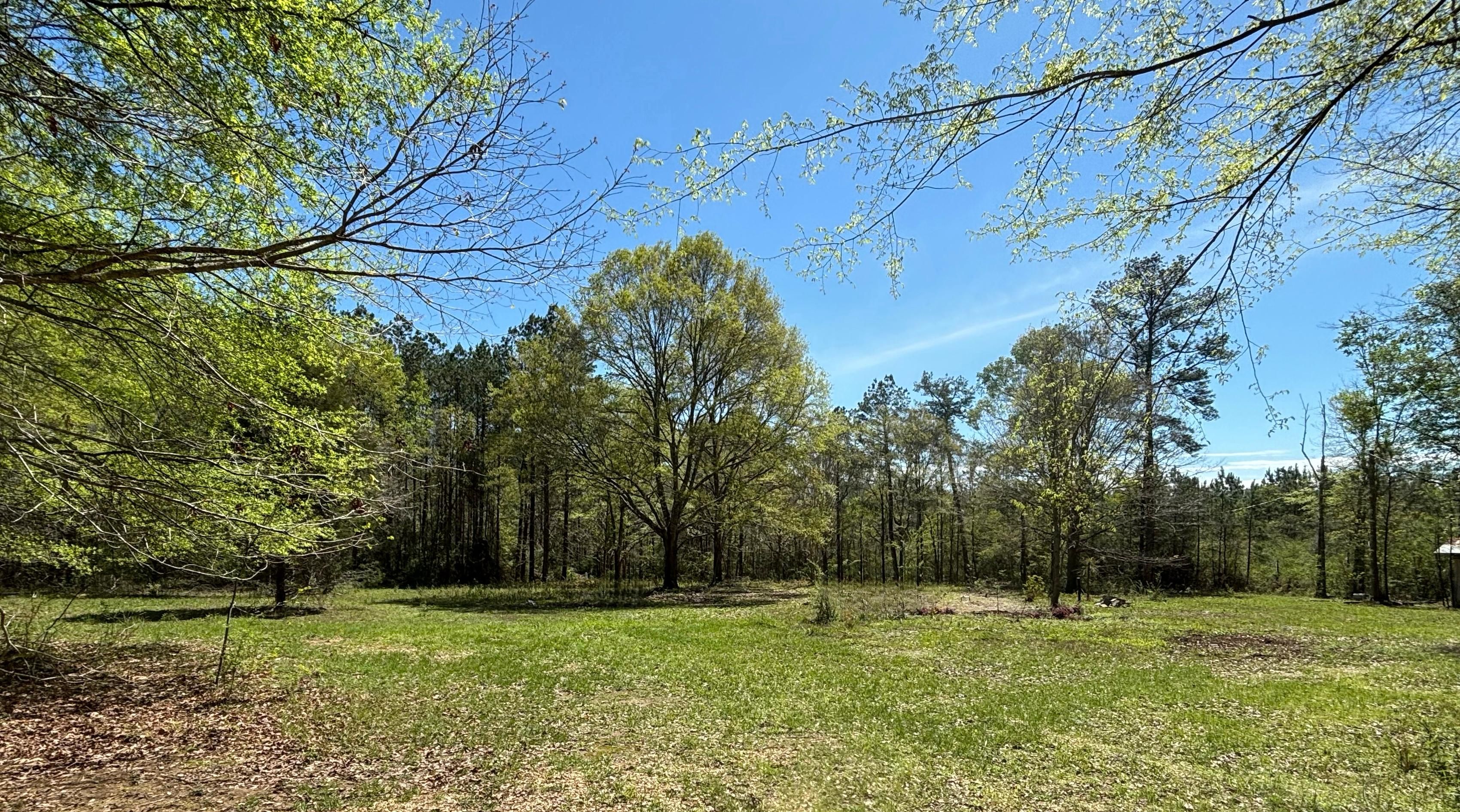 408 Taylor & Tidwell Lane, Greensburg, LA 70441 LandWatch