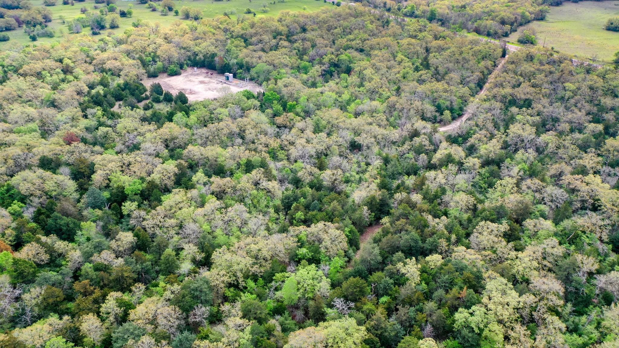 32 AC Texas 21, North Zulch, TX 77872 MLS 98198575 LandWatch