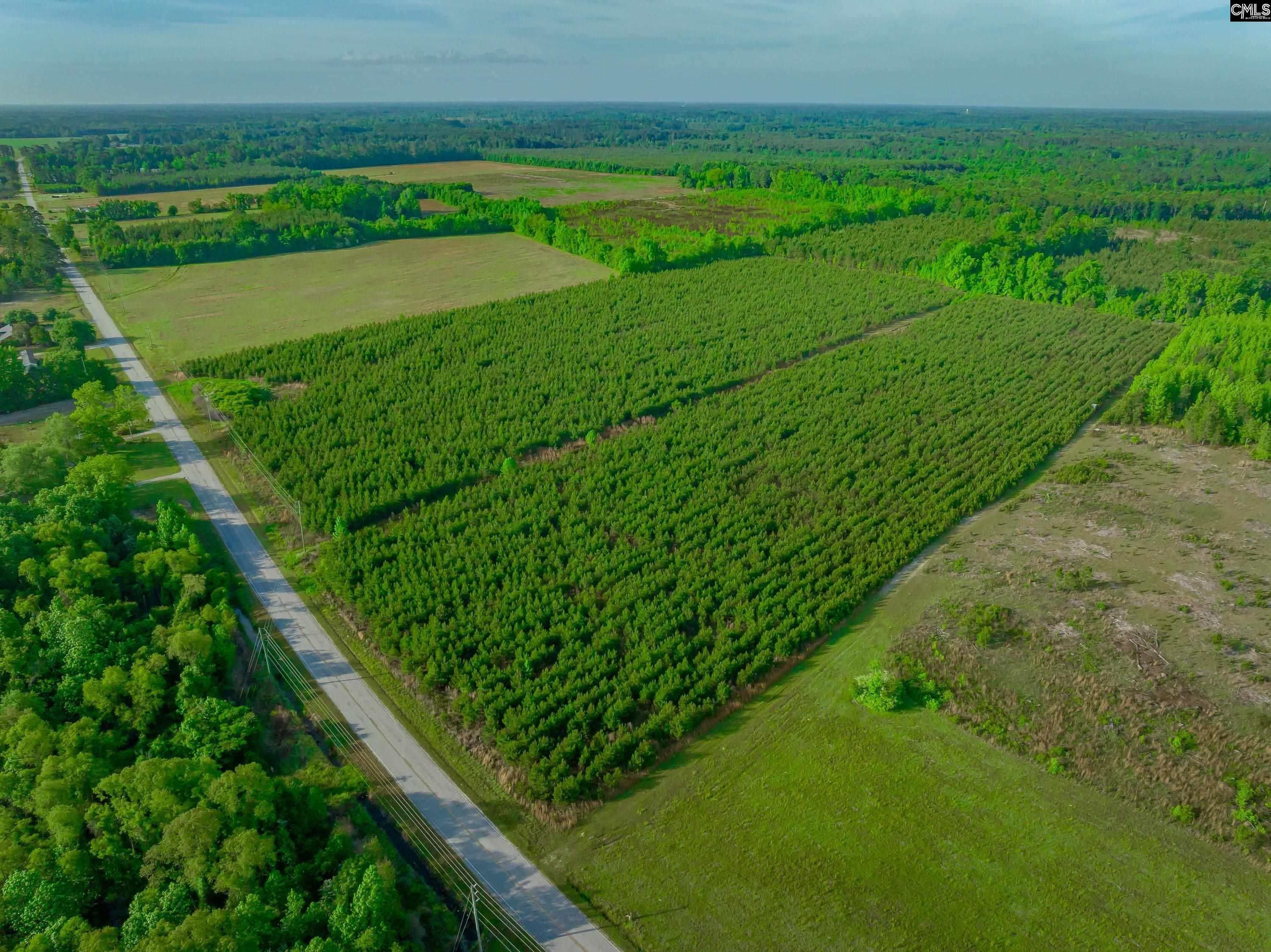 Coward, Florence County, SC Undeveloped Land for sale Property ID