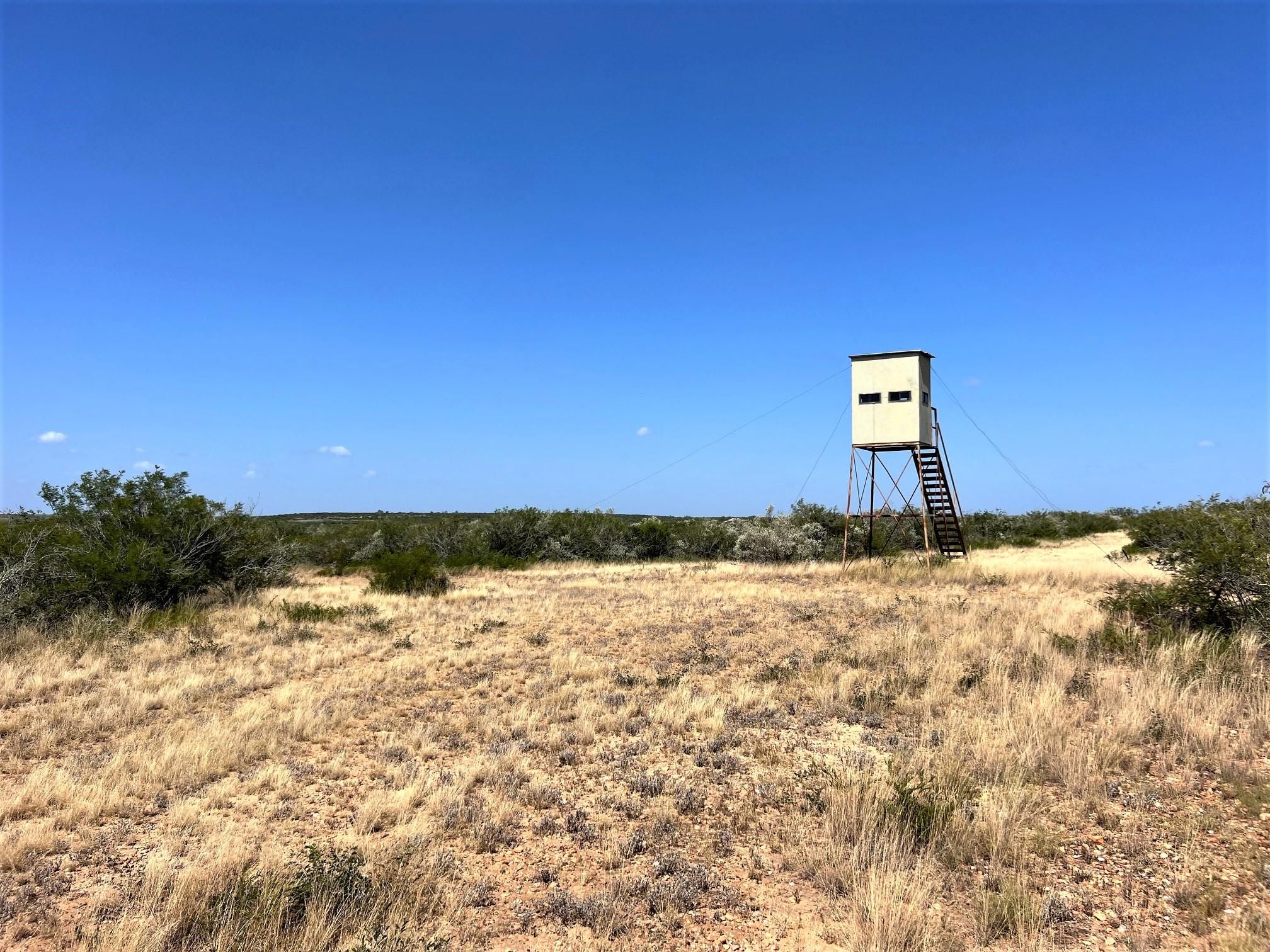 309 acres in Pearsall, TX, 78061 LandWatch