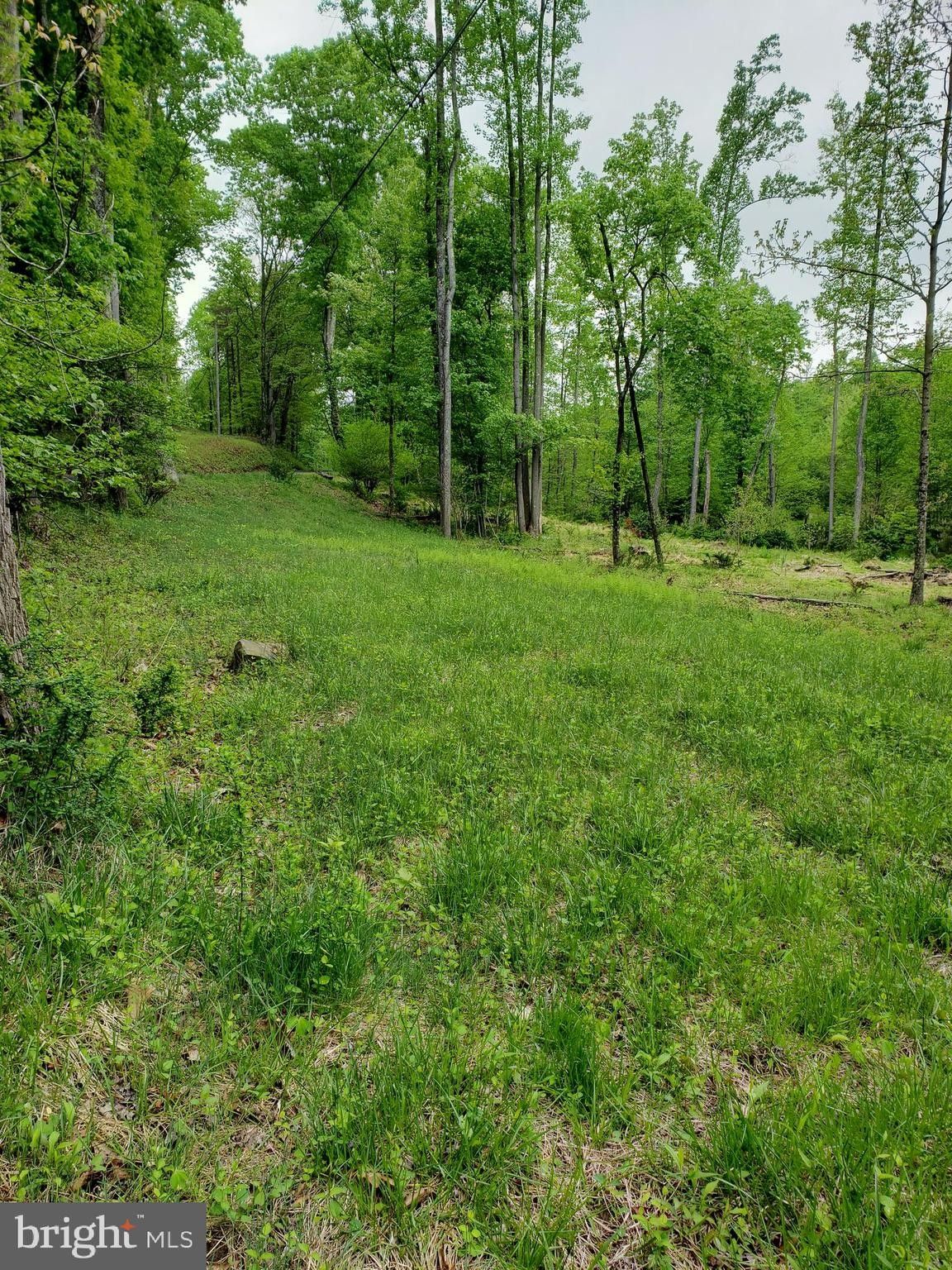 3094 CRITTON OWL HOLLOW ROAD, Paw Paw, WV 25434 MLS WVHS2004690