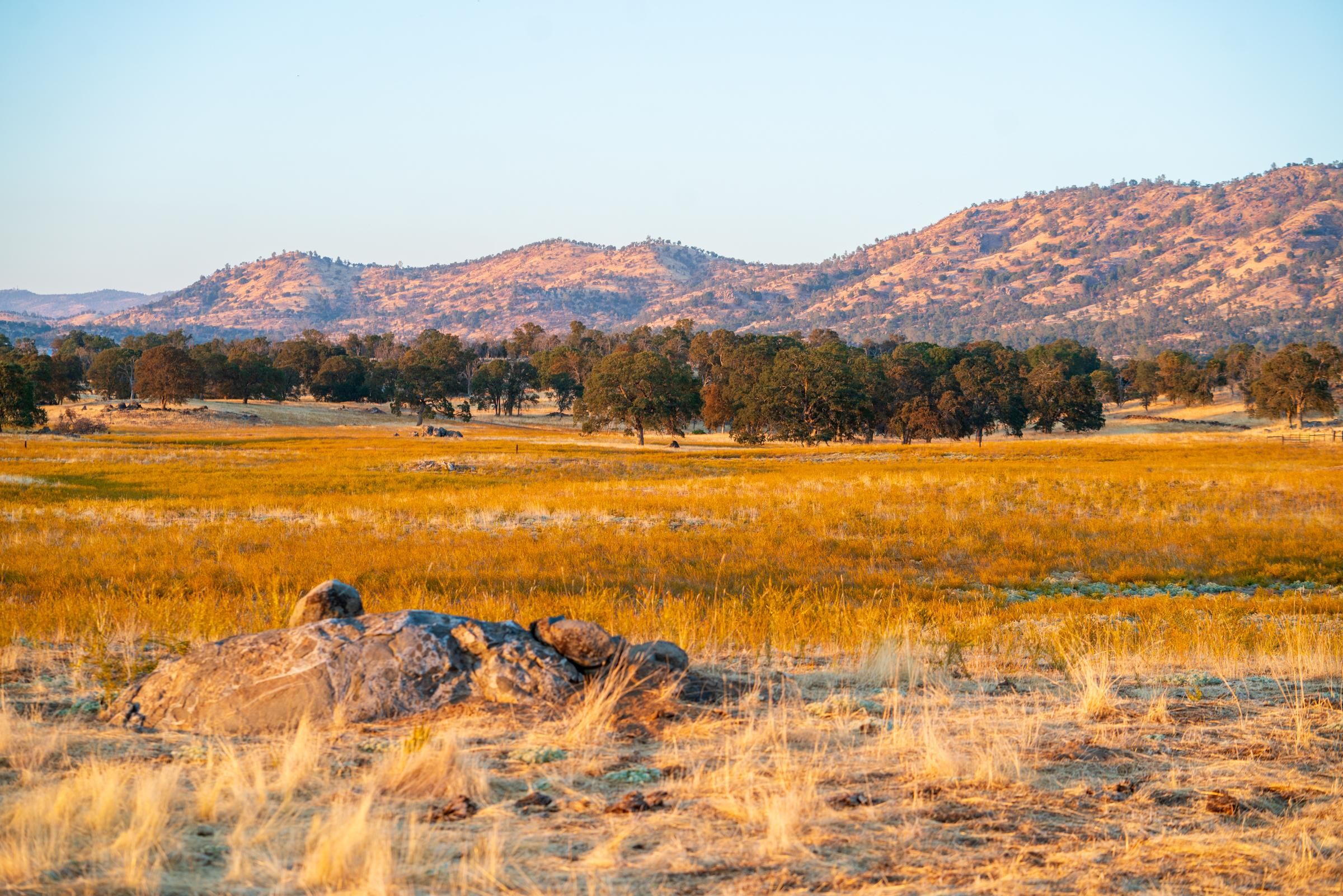 Catheys Valley, Mariposa County, CA Undeveloped Land for sale Property
