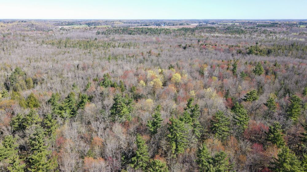 000 Linden Road, Rosholt, WI 54473 MLS Portage 40.5 LandWatch