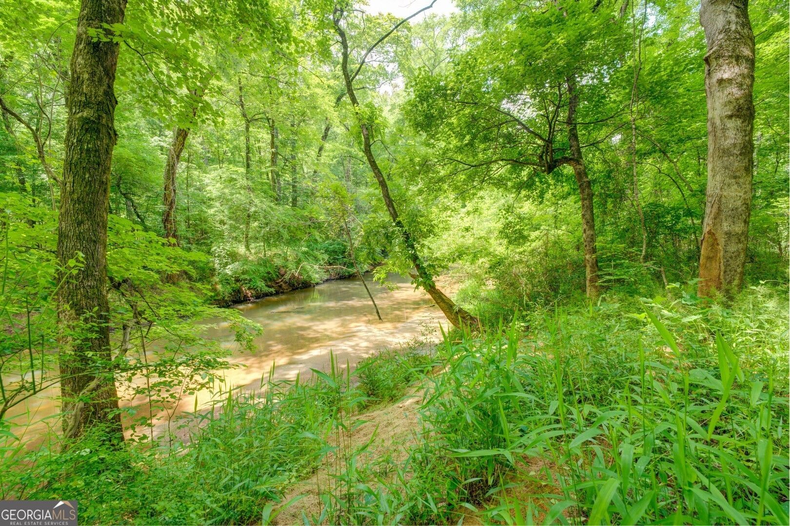 Locust Grove, Henry County, GA Undeveloped Land, Lakefront Property