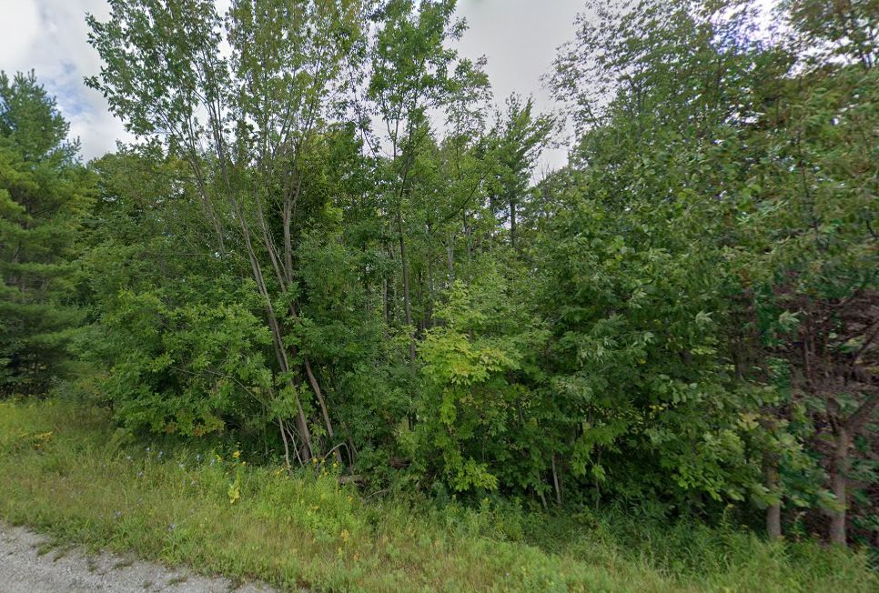 Alpena, Alpena County, MI Recreational Property, Undeveloped Land