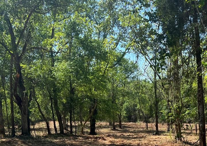 Community House Rd, Barnesville, GA 30204 LandWatch