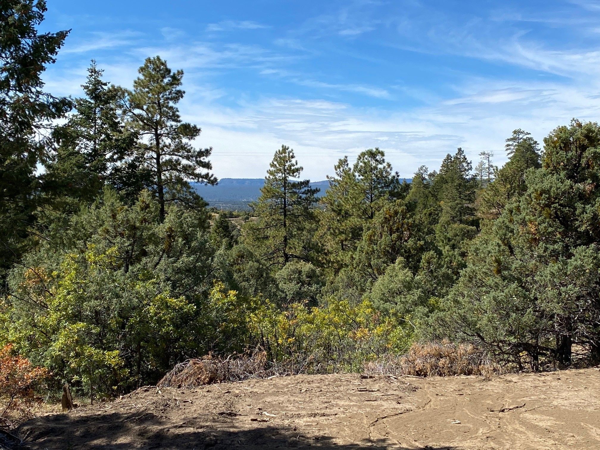 0 PD 1781, Chama, NM 87520 MLS 202401733 LandWatch