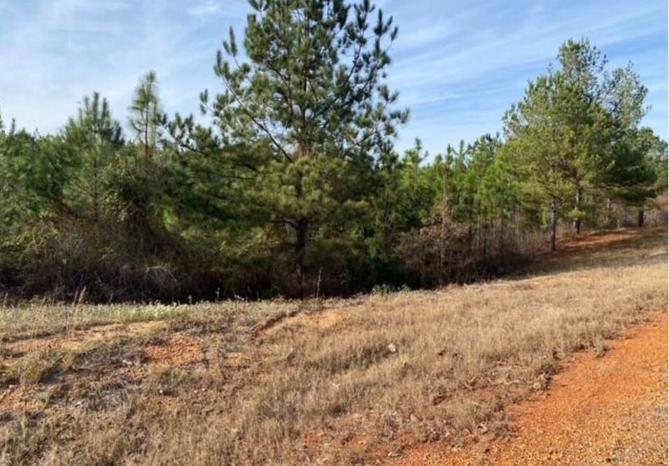 0 Phelps Road, Tuscaloosa, AL 35406 MLS 161813 LandWatch