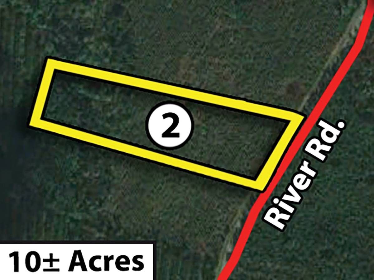 Folkston, Charlton County, GA Undeveloped Land for sale Property ID