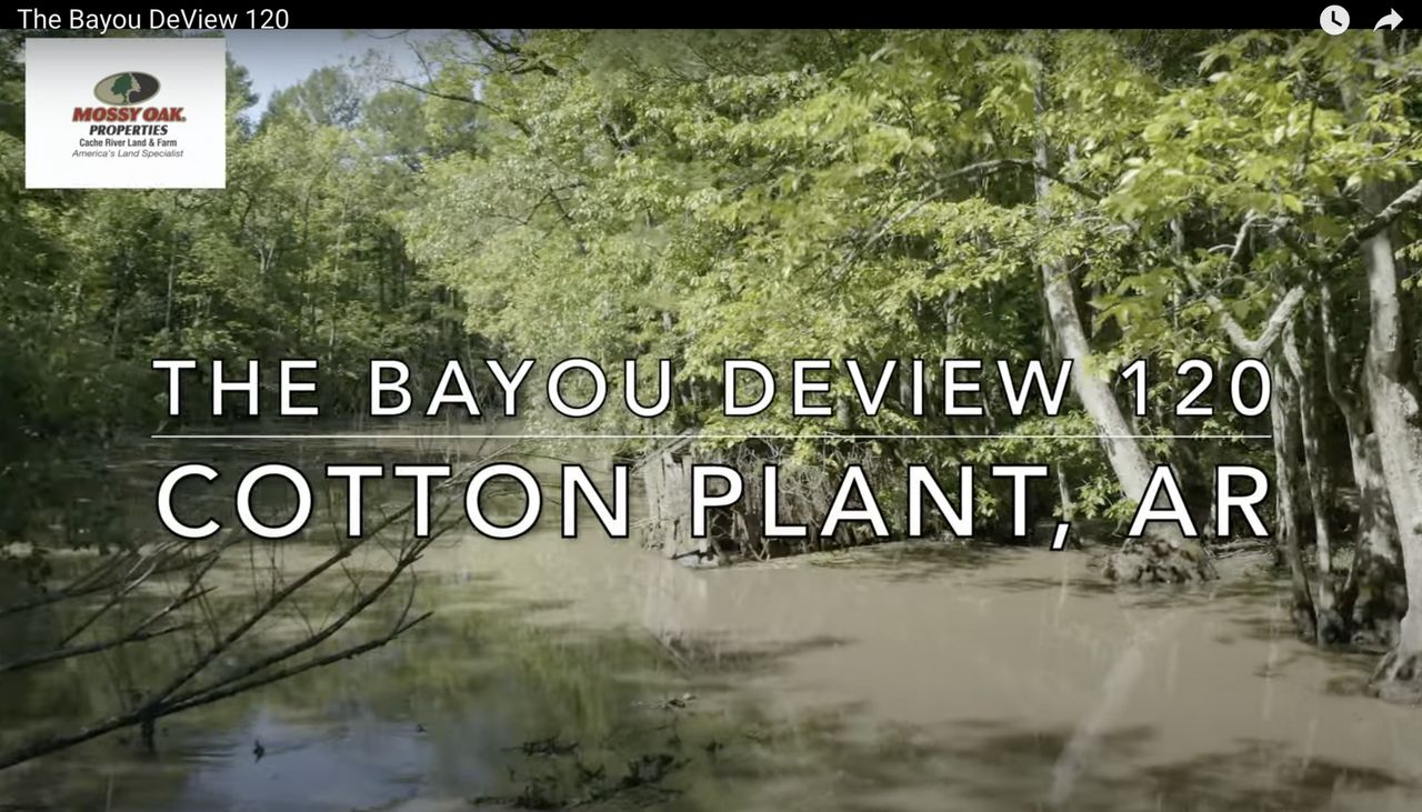 120 acres in Cotton Plant, AR, 72036 LandWatch