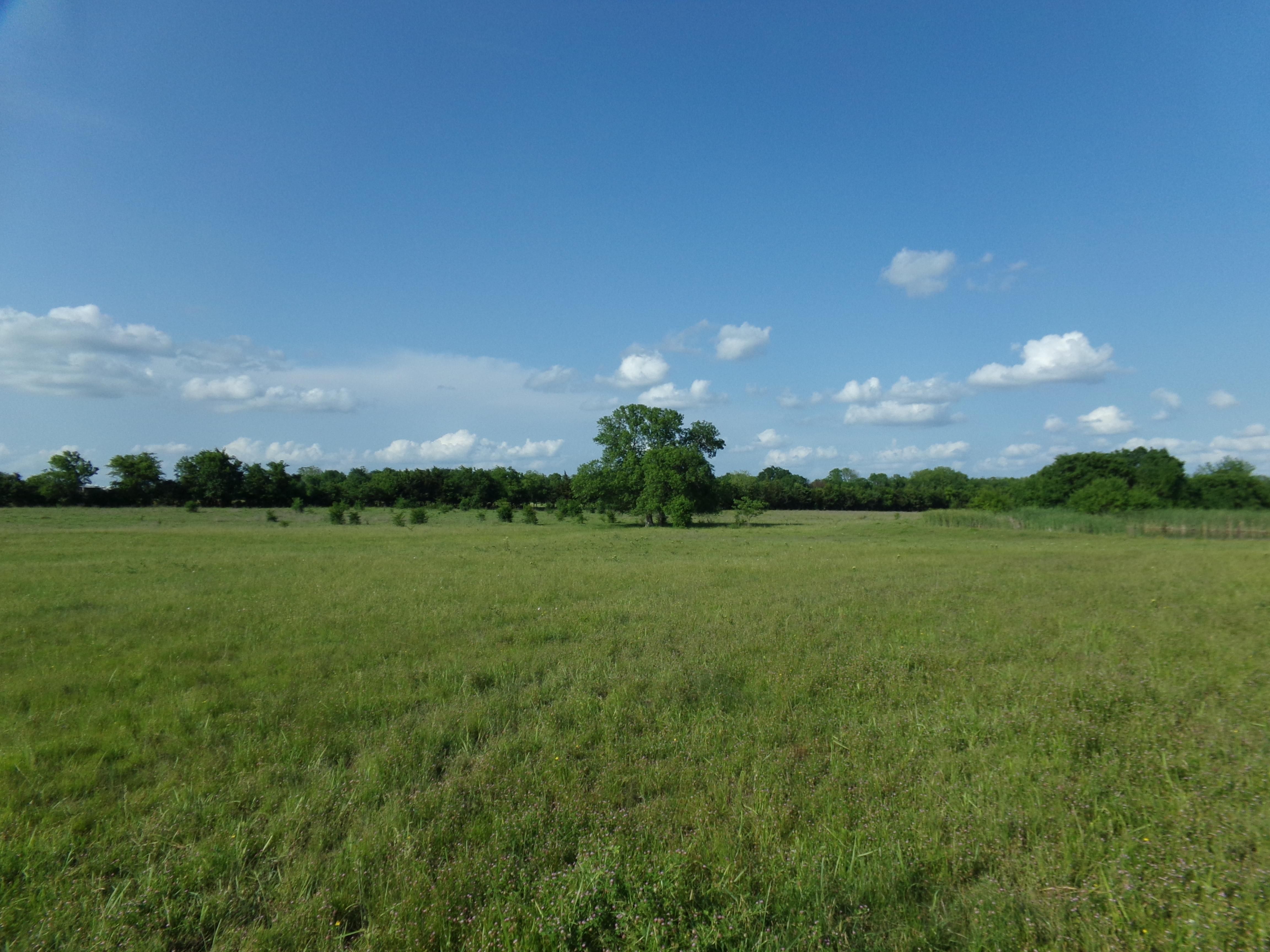 TBD FM 1159, Clarksville, TX 75426 MLS 4223313892 LandWatch