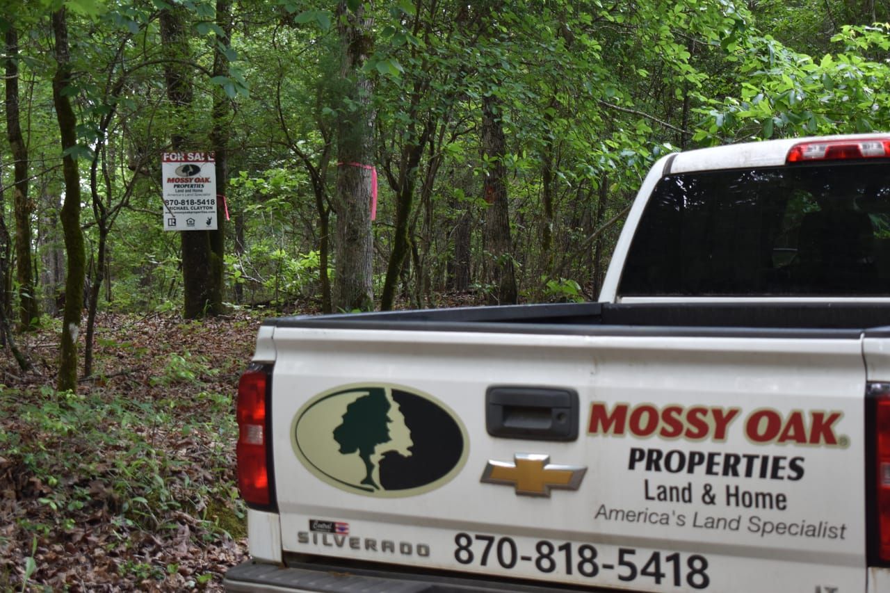 40 acres in Chidester, AR, 71726 LandWatch