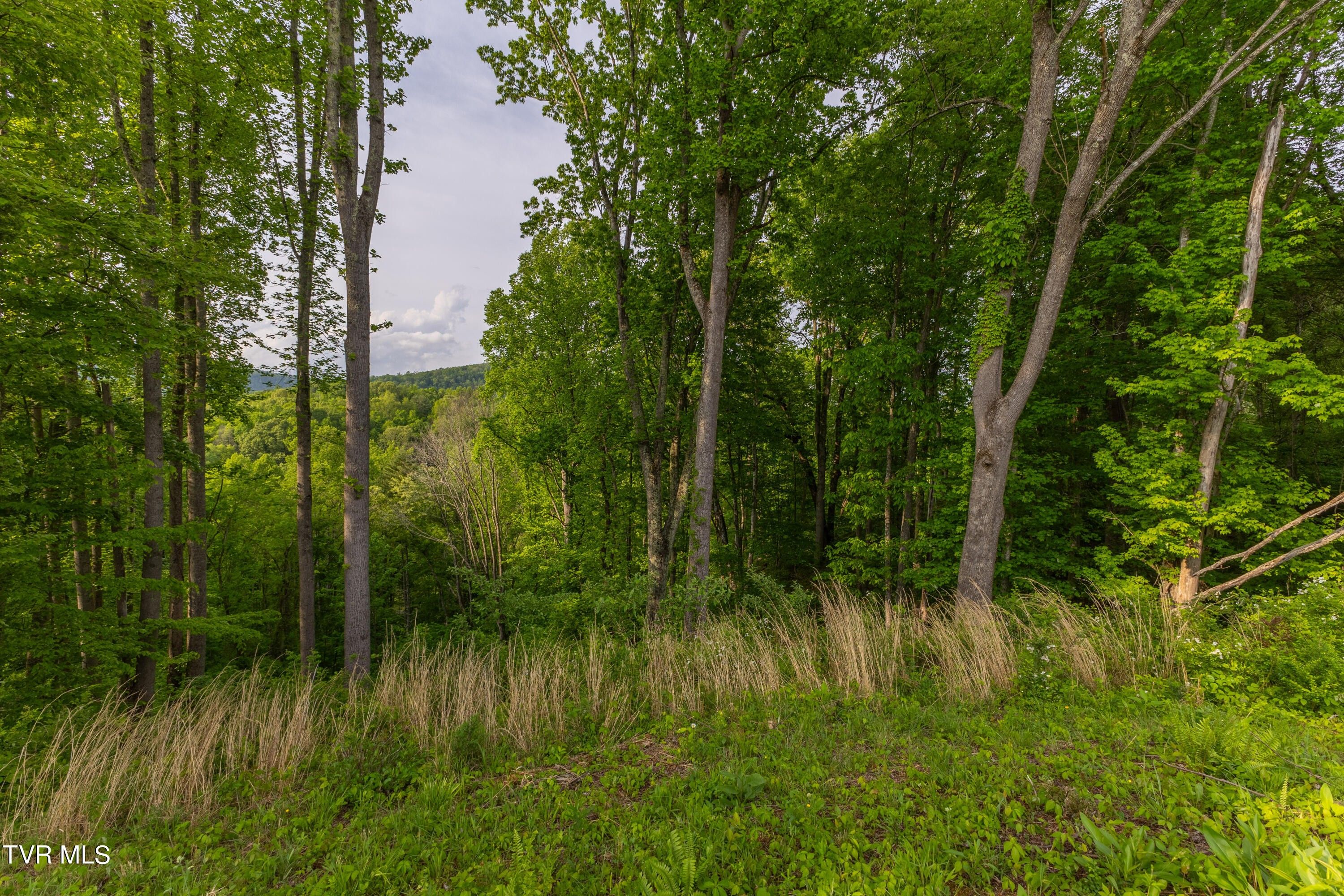 Tbd Watauga Ridge Road, Butler, TN 37640 MLS 9965571 LandWatch