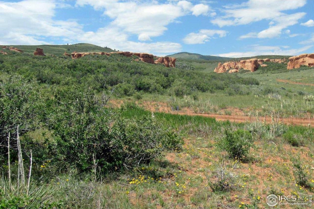 Buffalo Run Rd, Livermore, CO 80536 MLS 991383 LandWatch