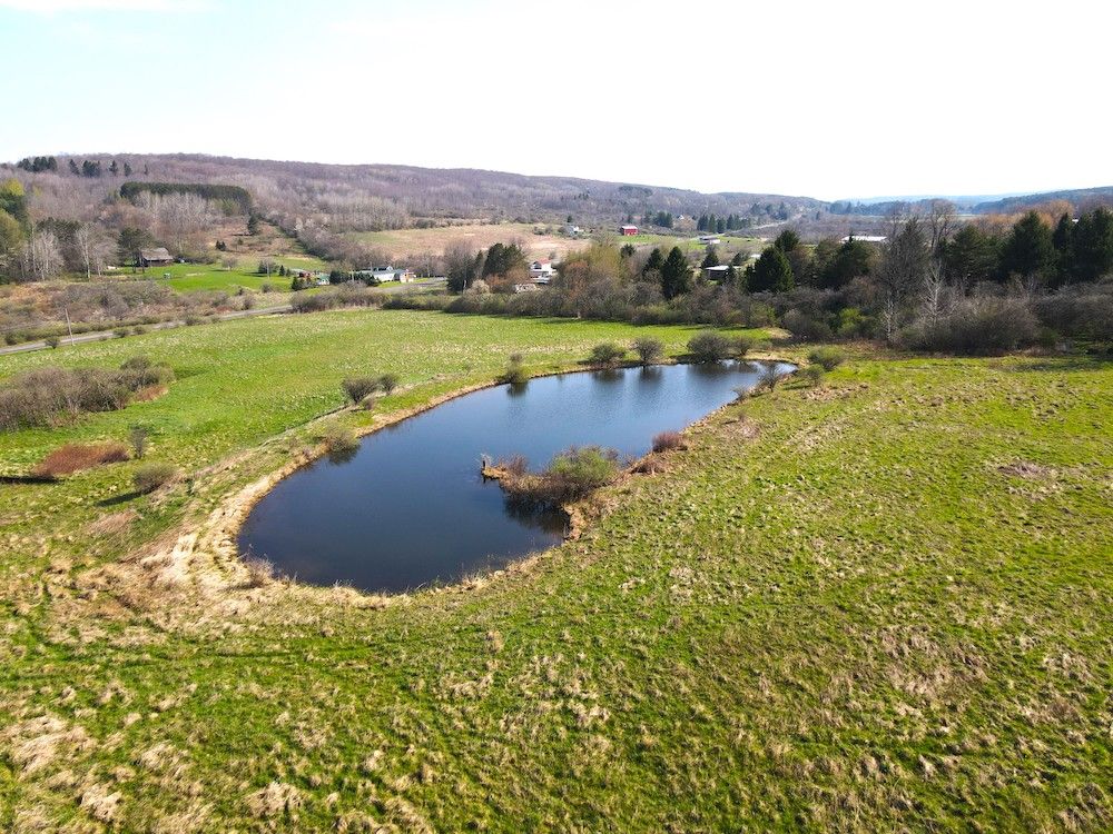 VL NYS Rte 98, LotWP001, Franklinville, NY 14737 MLS 11276150