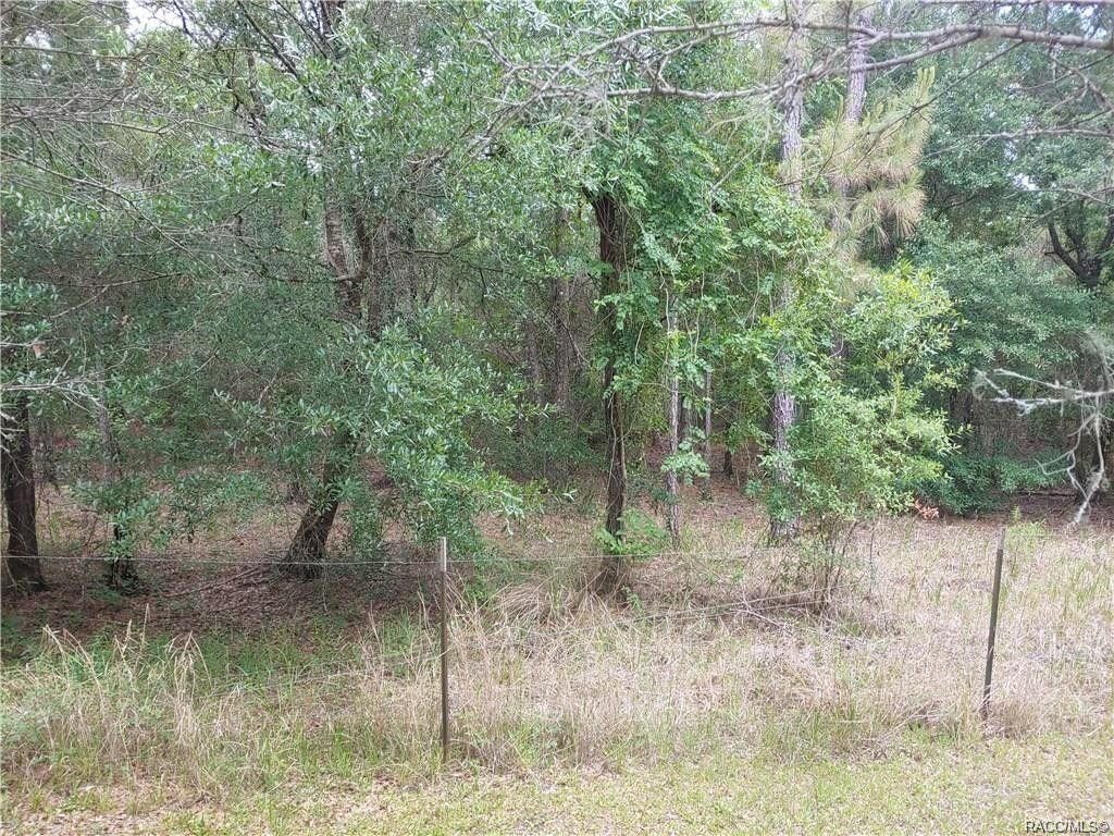 Dunnellon, Citrus County, FL Undeveloped Land, Lakefront Property
