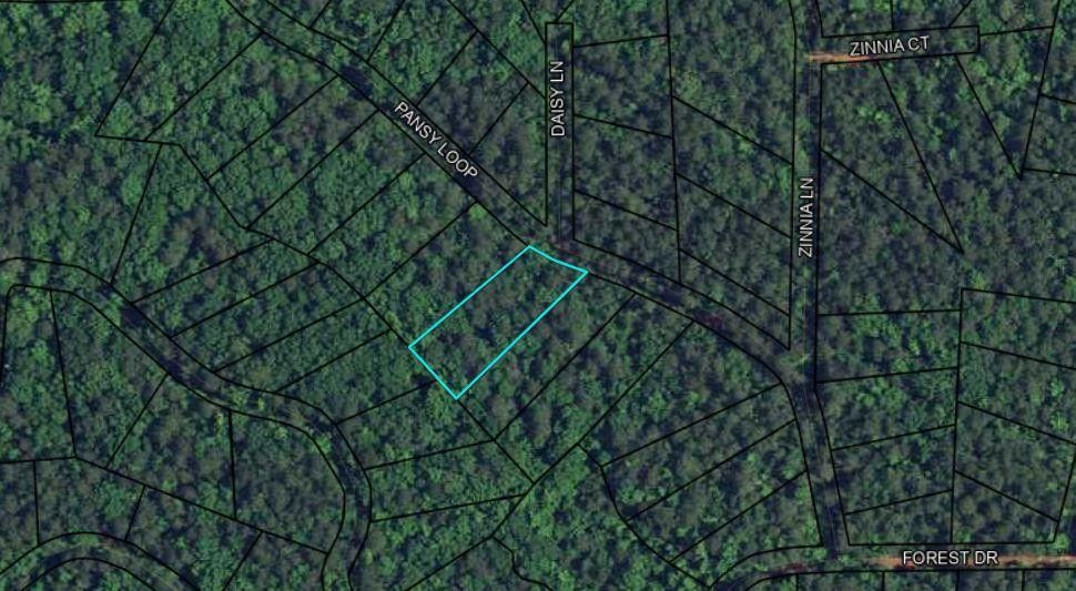 Blk 79 Lot 07 PANSY LOOP, Waverly Hall, GA 31831 MLS 211692 LandWatch