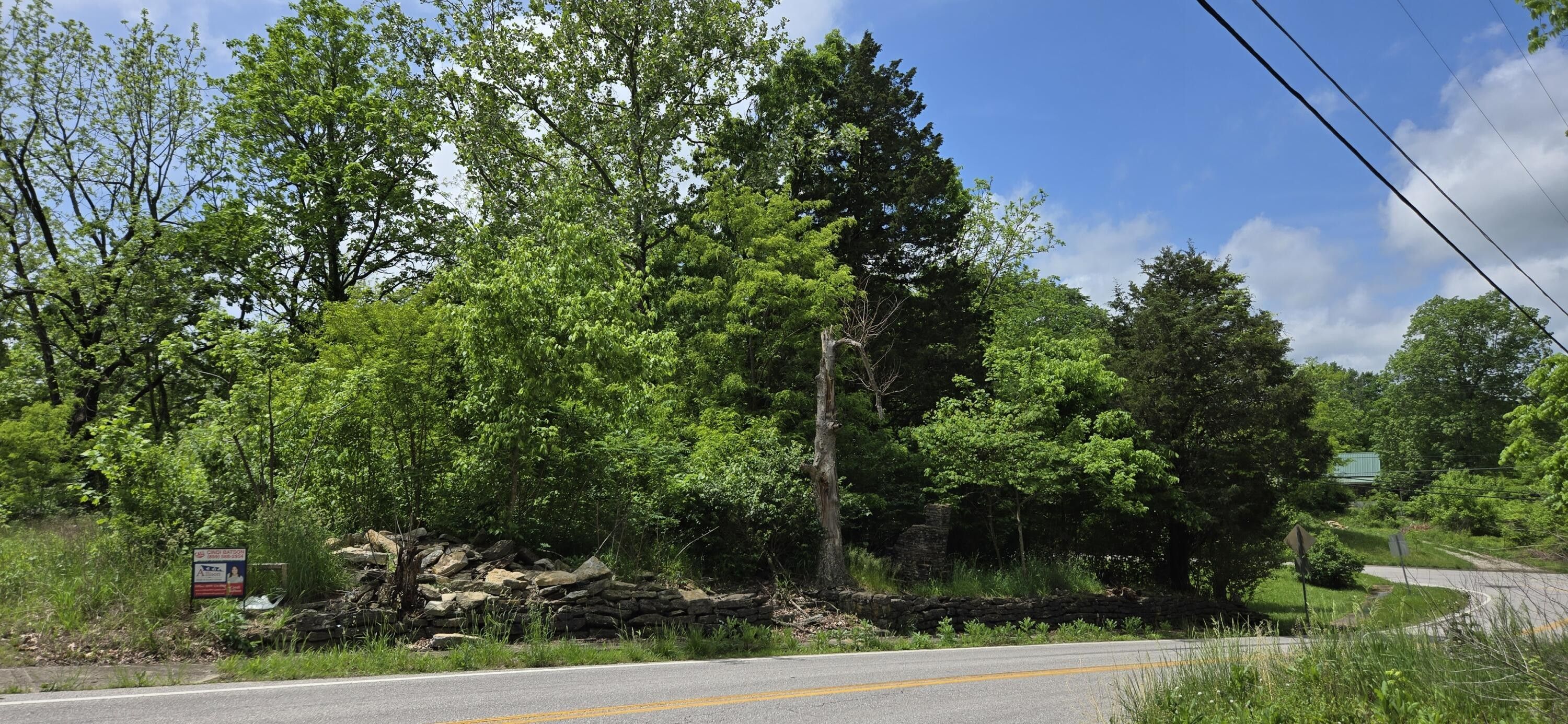 Corinth, Grant County, KY Undeveloped Land, Homesites for sale Property