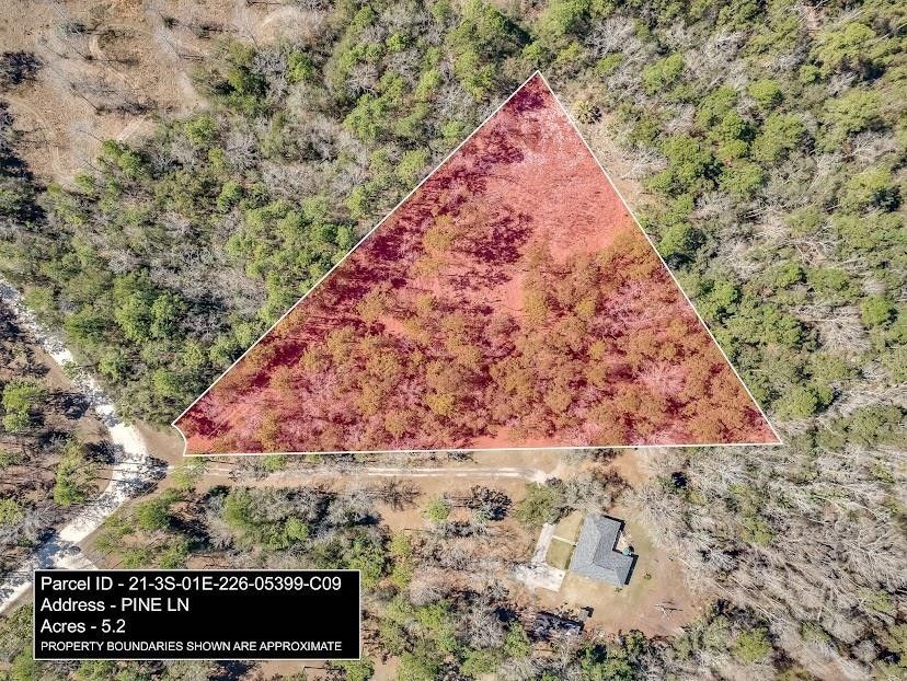 Crawfordville, Wakulla County, FL Undeveloped Land for sale Property ID