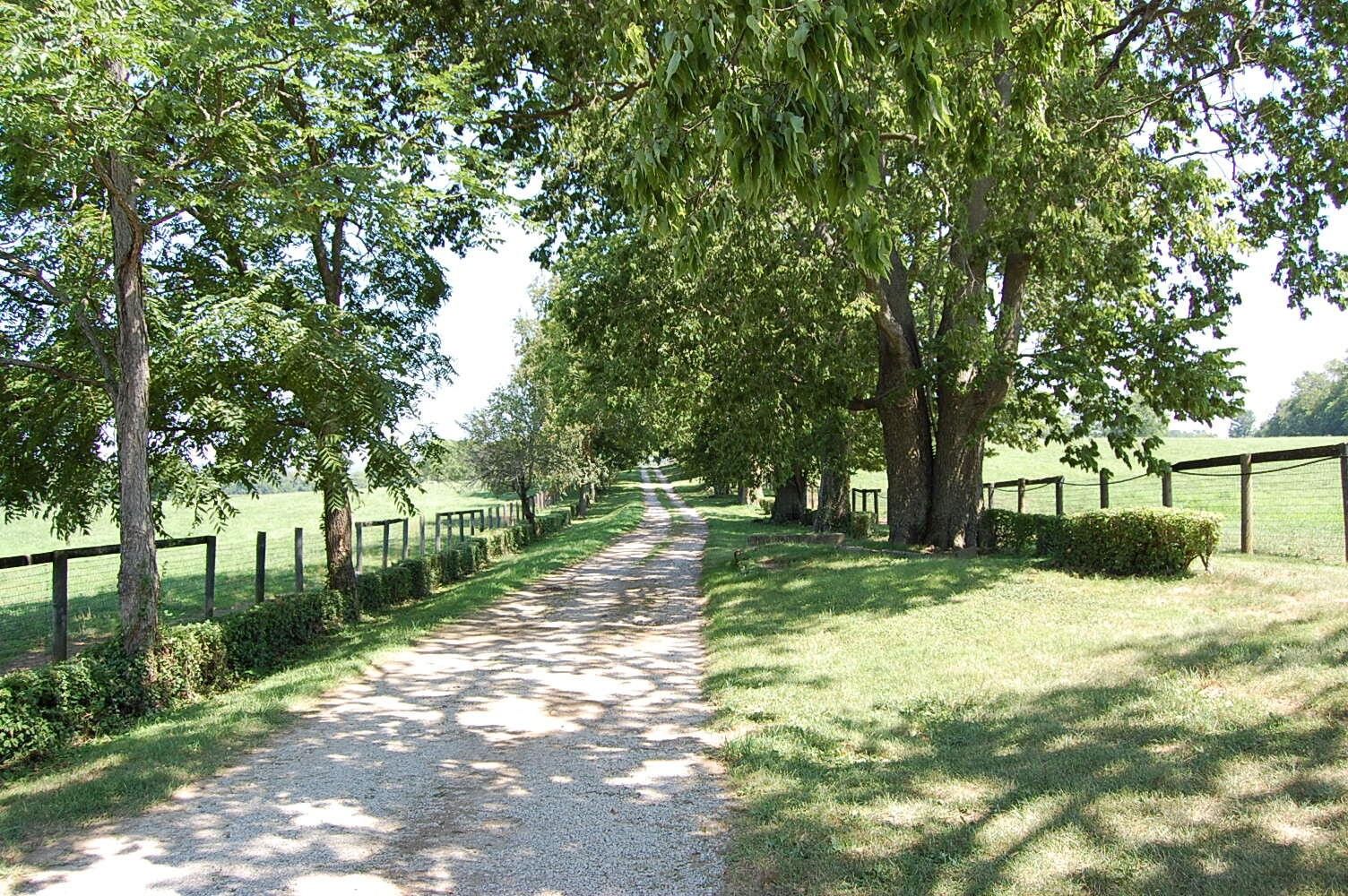 201 & 237 Hume Bedford Road, Paris, KY 40361 MLS 24009317 LandWatch