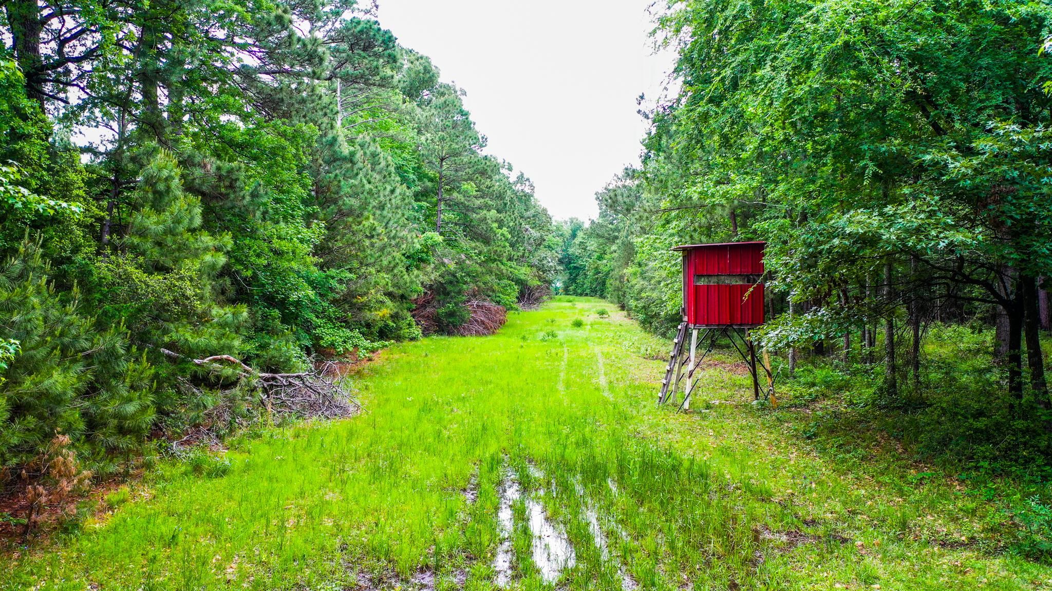 100.59 acres in Elysian Fields, TX, 75672 LandWatch