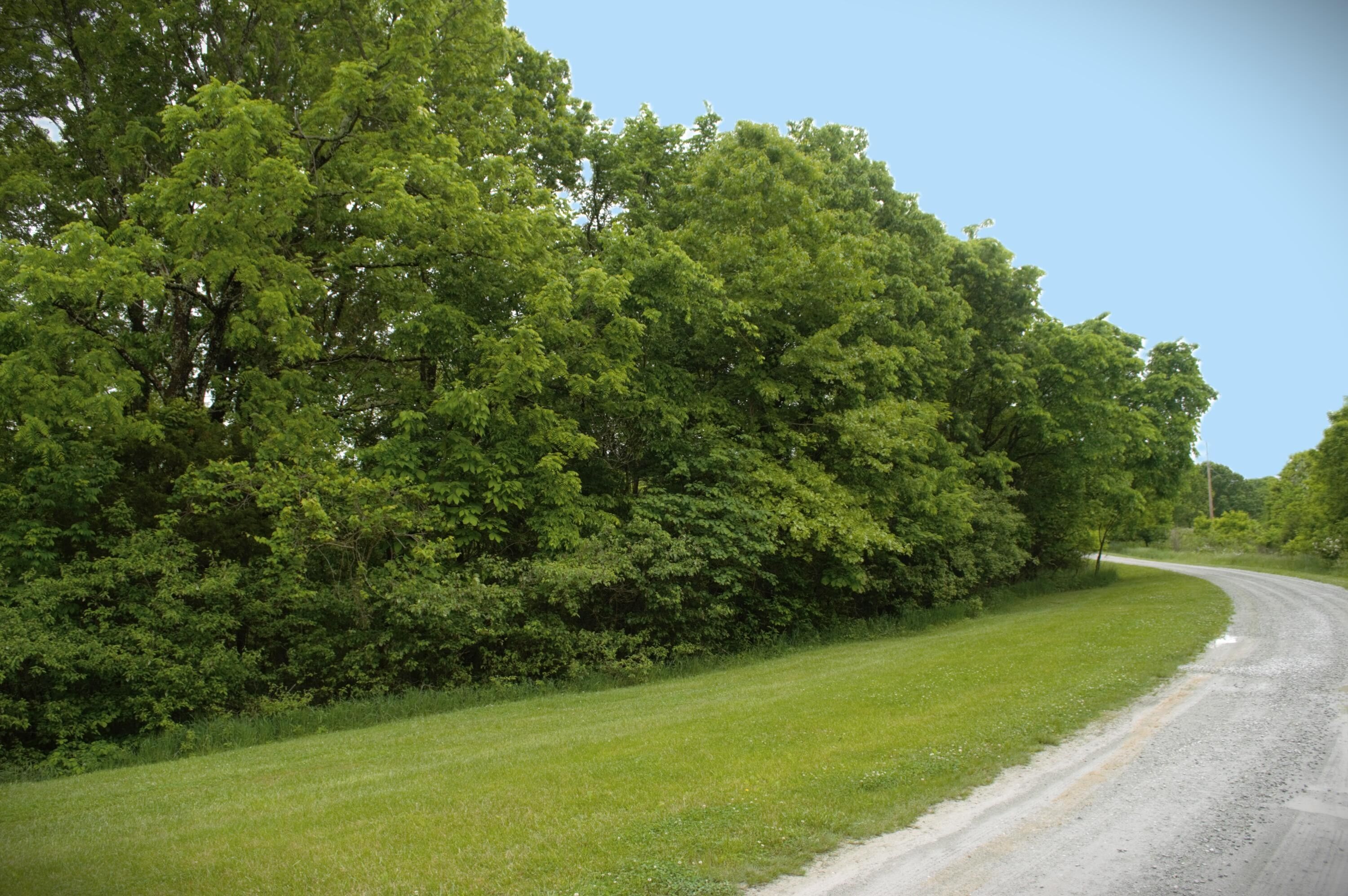 6 Heavenly Way, Willisburg, KY 40078 MLS 24009331 LandWatch