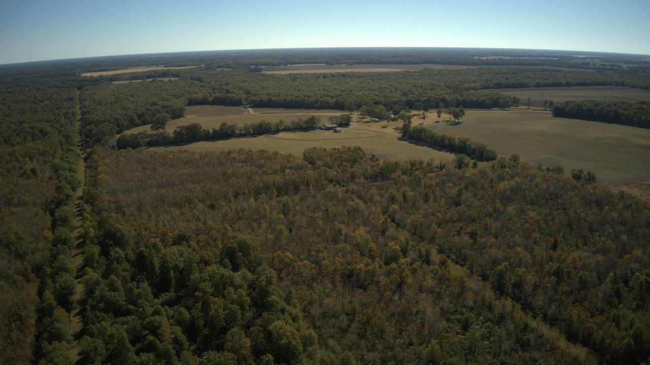 4250 Highway 135, Mangham, LA 71259 MLS 204998 LandWatch