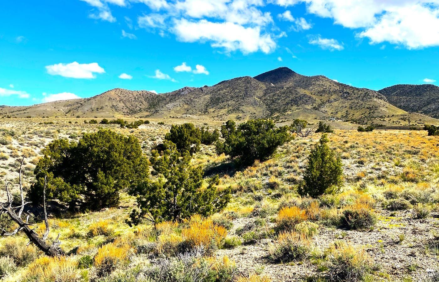10 acres in Montello, NV, 89830 | MLS: 010-35L-009 | LandWatch