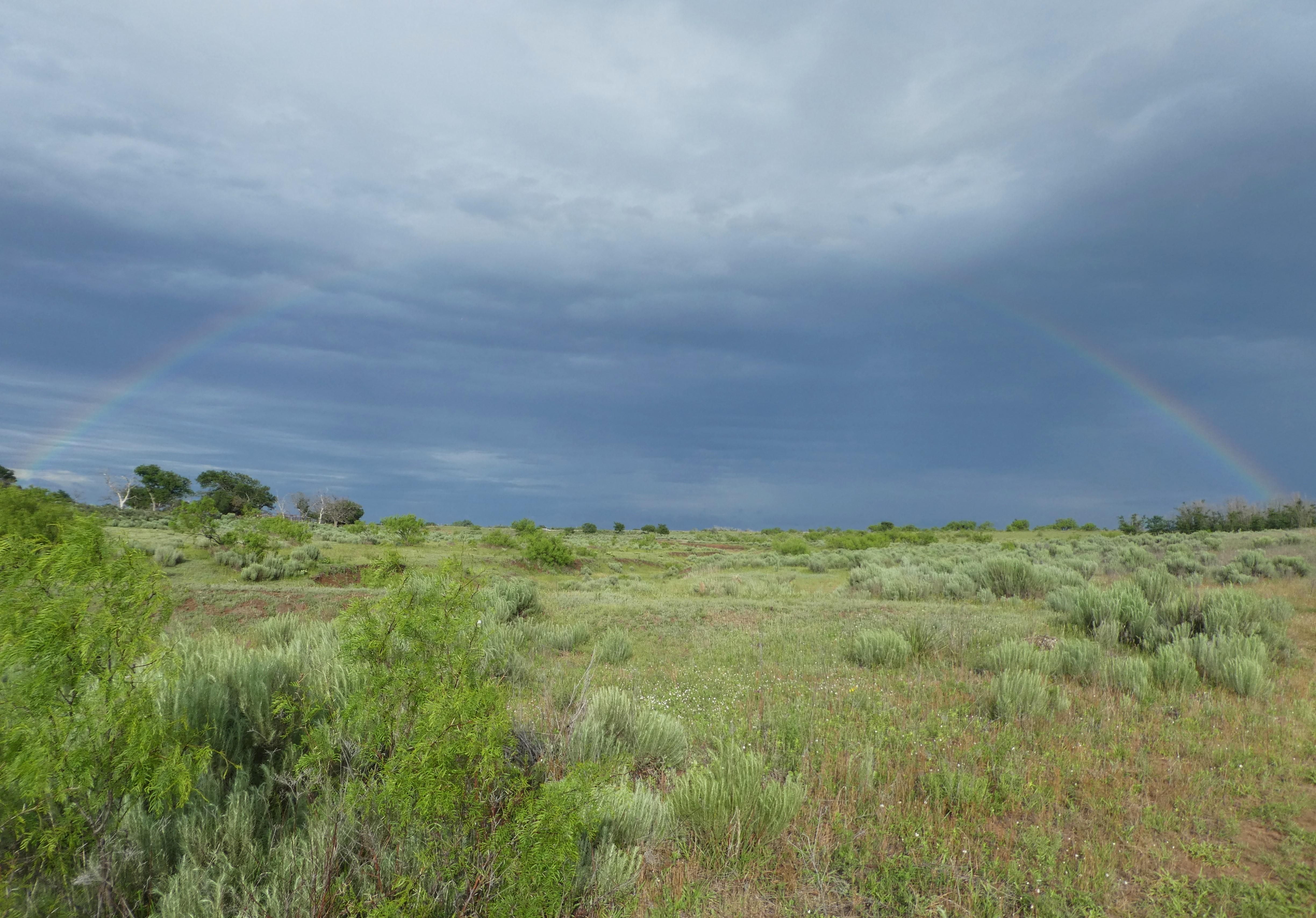 1,083 acres in Hedley, TX, 79237 LandWatch