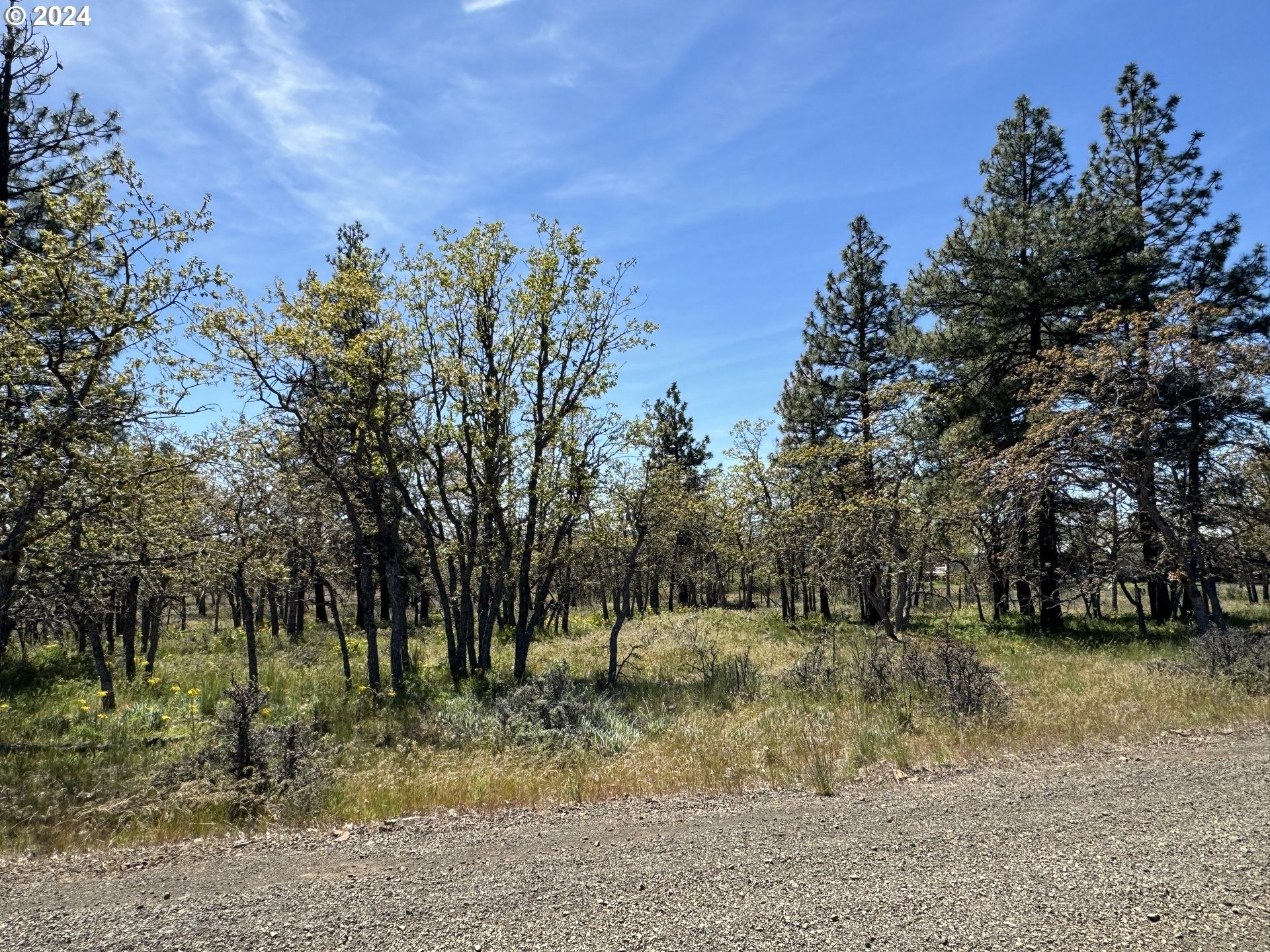 D Pine, Goldendale, WA 98620 MLS 24260551 LandWatch
