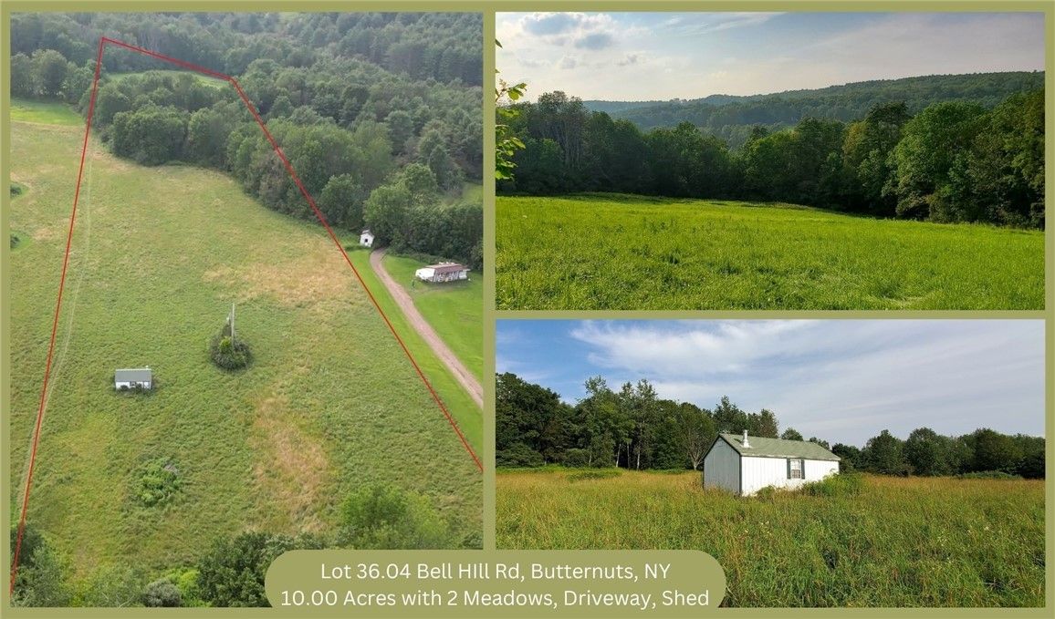 Butternuts, Otsego County, NY Farms and Ranches for sale Property ID