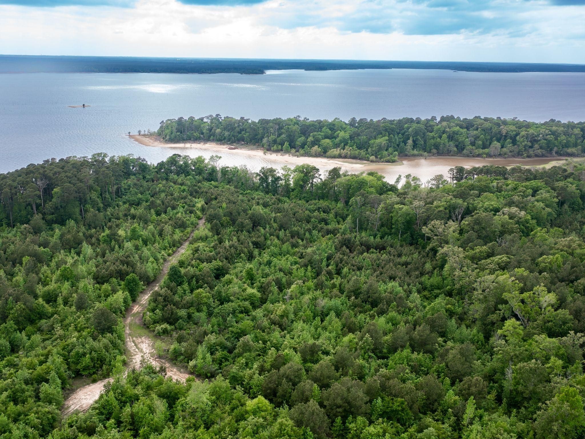 County Road 482, Etoile, TX 75944 MLS 20613822 LandWatch