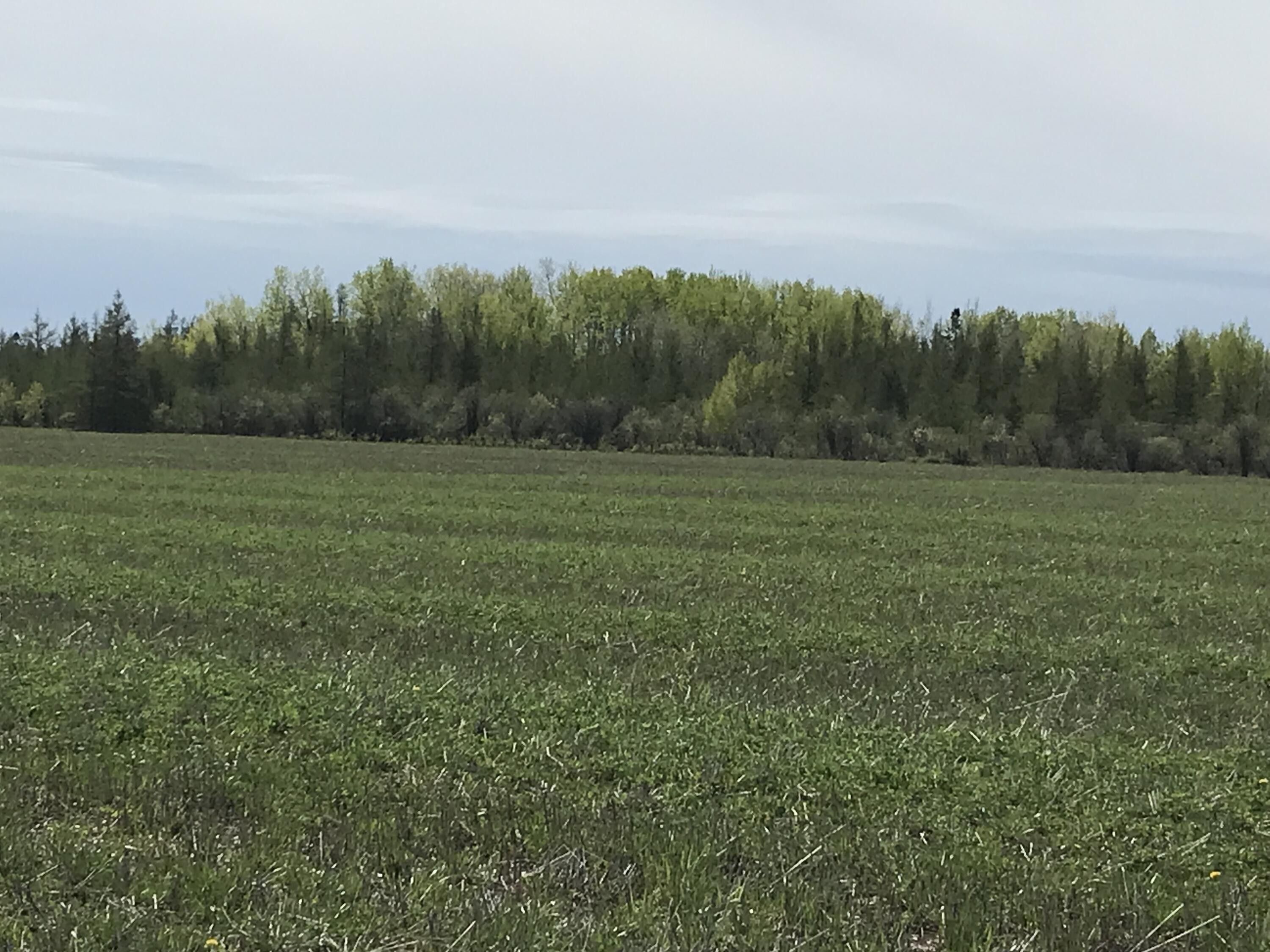 Tbd E 23 Mile RD, Pickford, MI 49774 MLS 24392 LandWatch