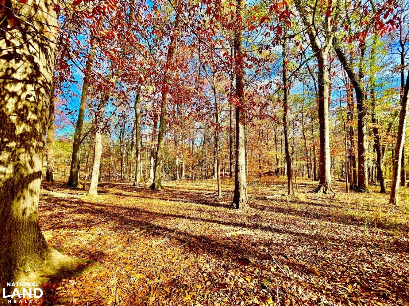 0 Bibb County 36 Tract 2, Randolph, AL 35180 LandWatch